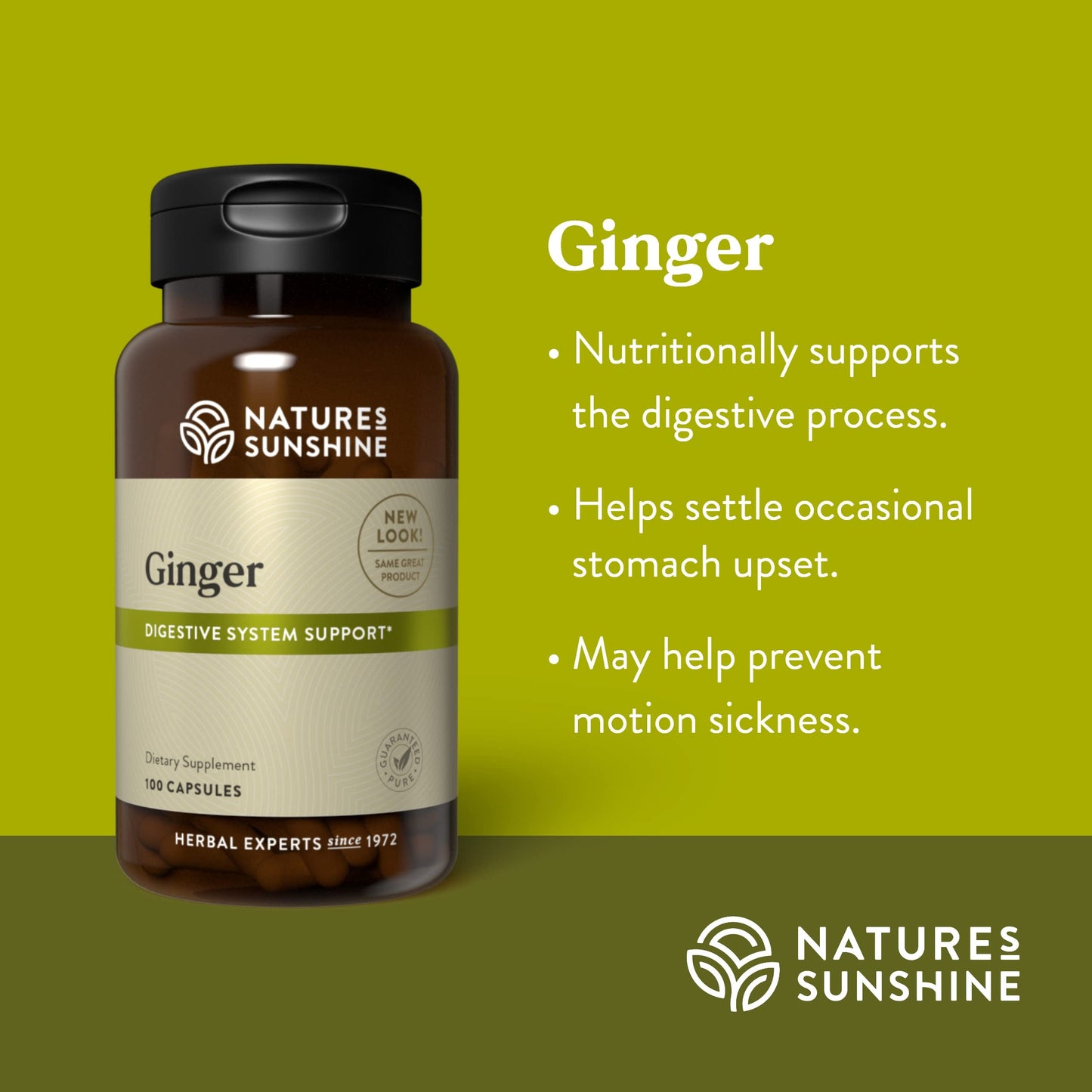 Nature's Sunshine Ginger Capsules 100
