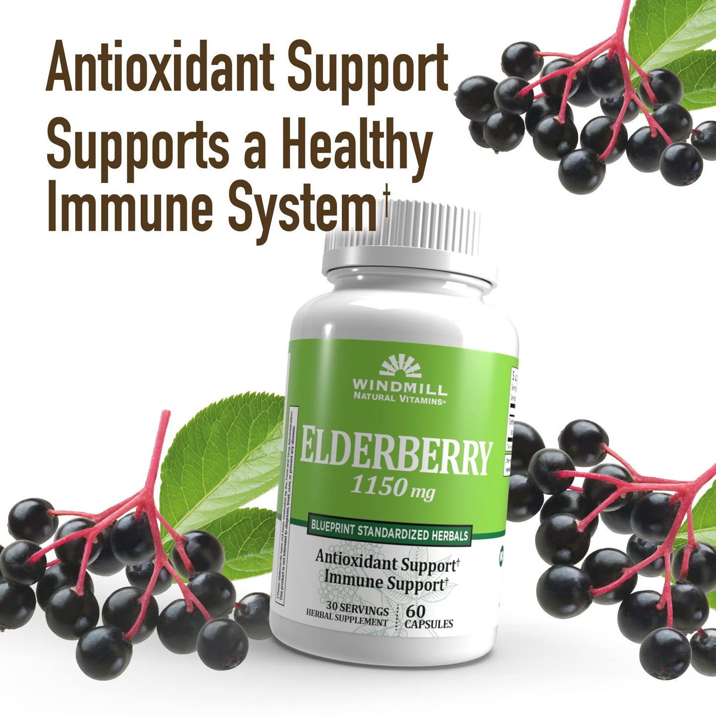 Windmill Elderberry Capsules 60 Capsules