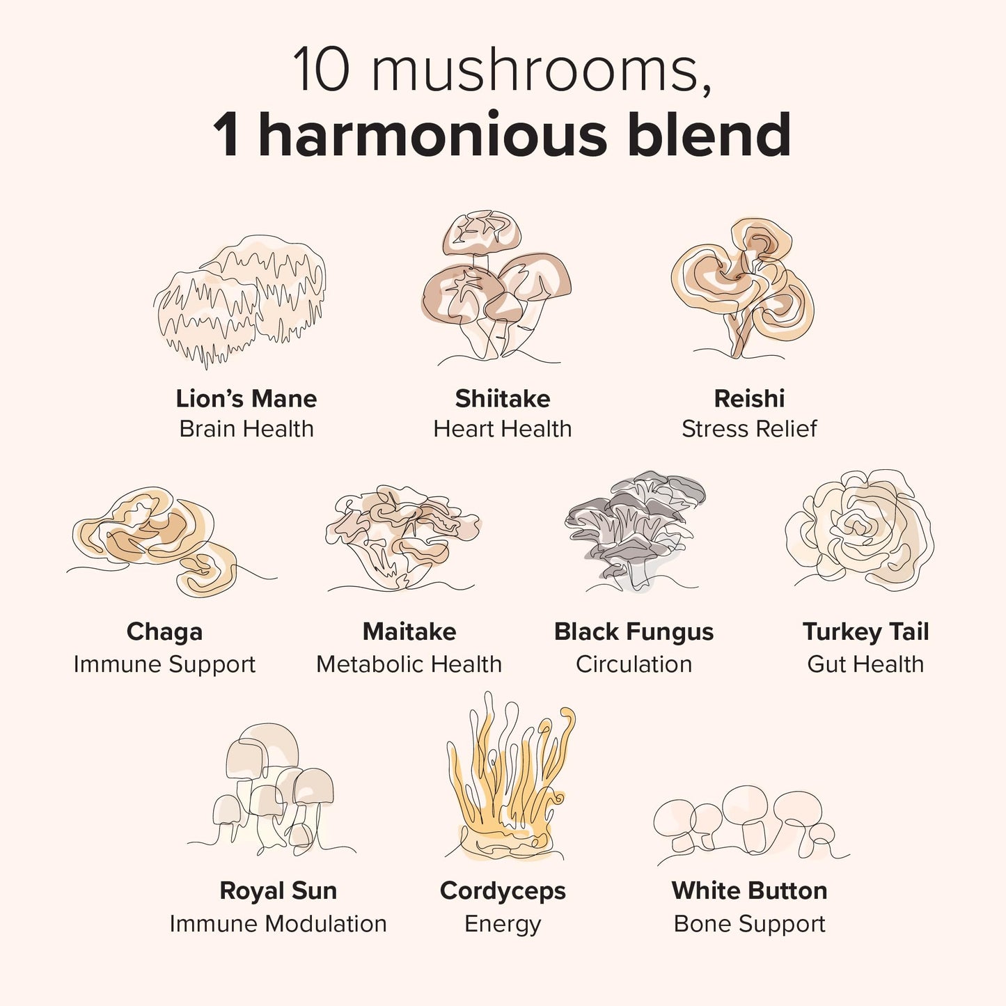 Moodstem Mushroom Harmony Blend Daily Mushroom Supplement Gummy 60-count