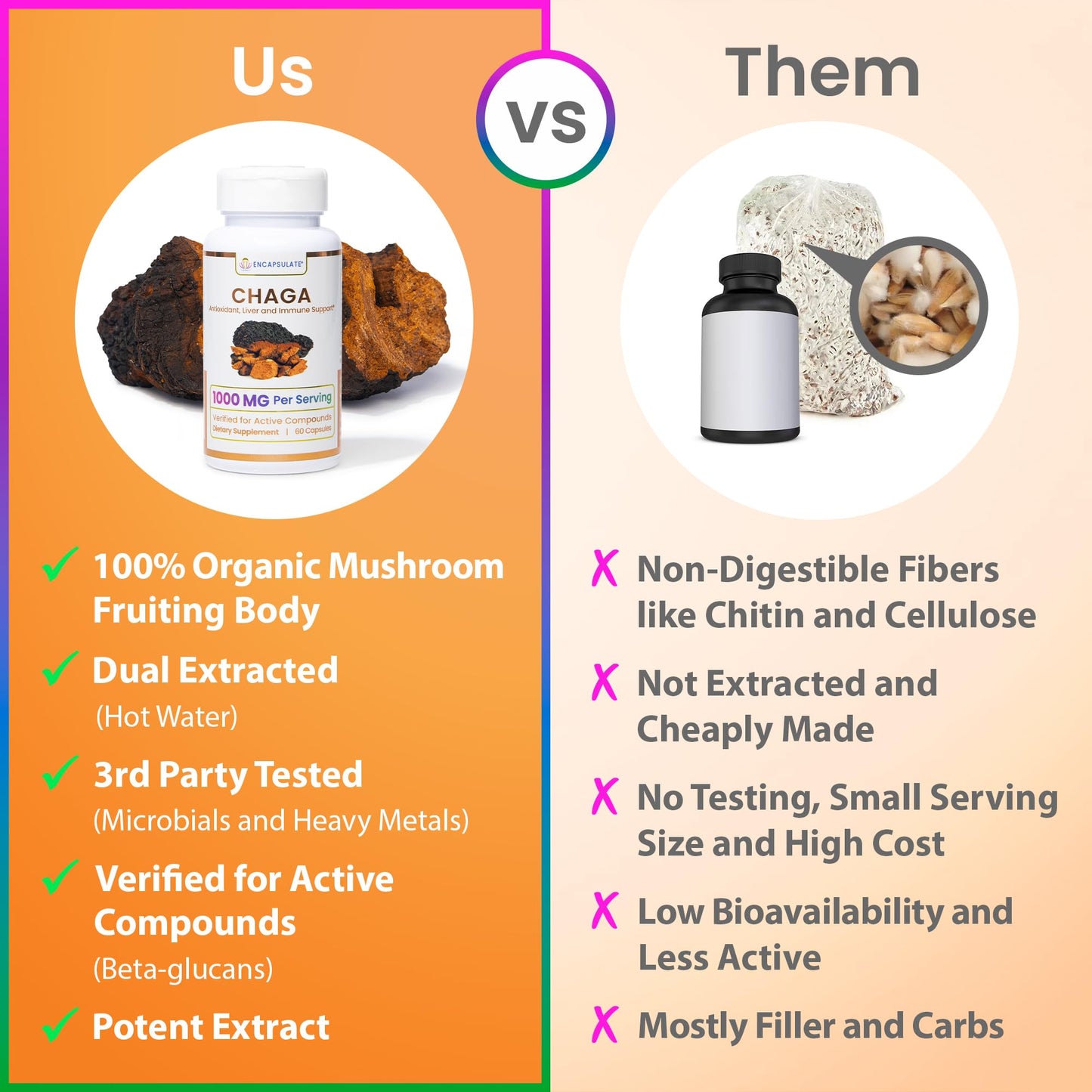 ENCAPSULATE Chaga Capsules 1000mg – Premium Organic Fruiting Body 1:1 Mushroom Extract – Adaptogen Mushroom Supplement for Antioxidant, Digestive, Oxidative Stress & Immune Support – Vegan – 60 Capsules