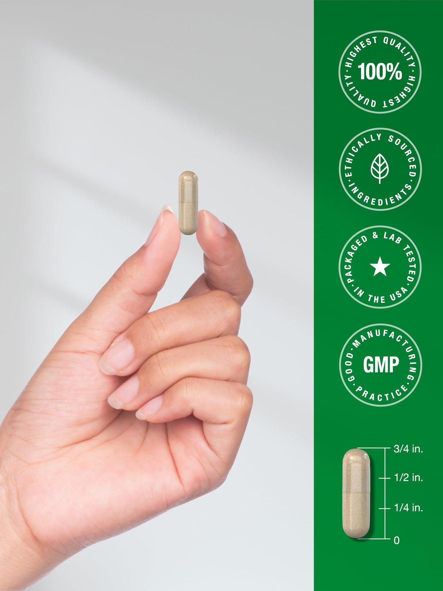 Horbäach Skullcap Herb Extract Capsules 200