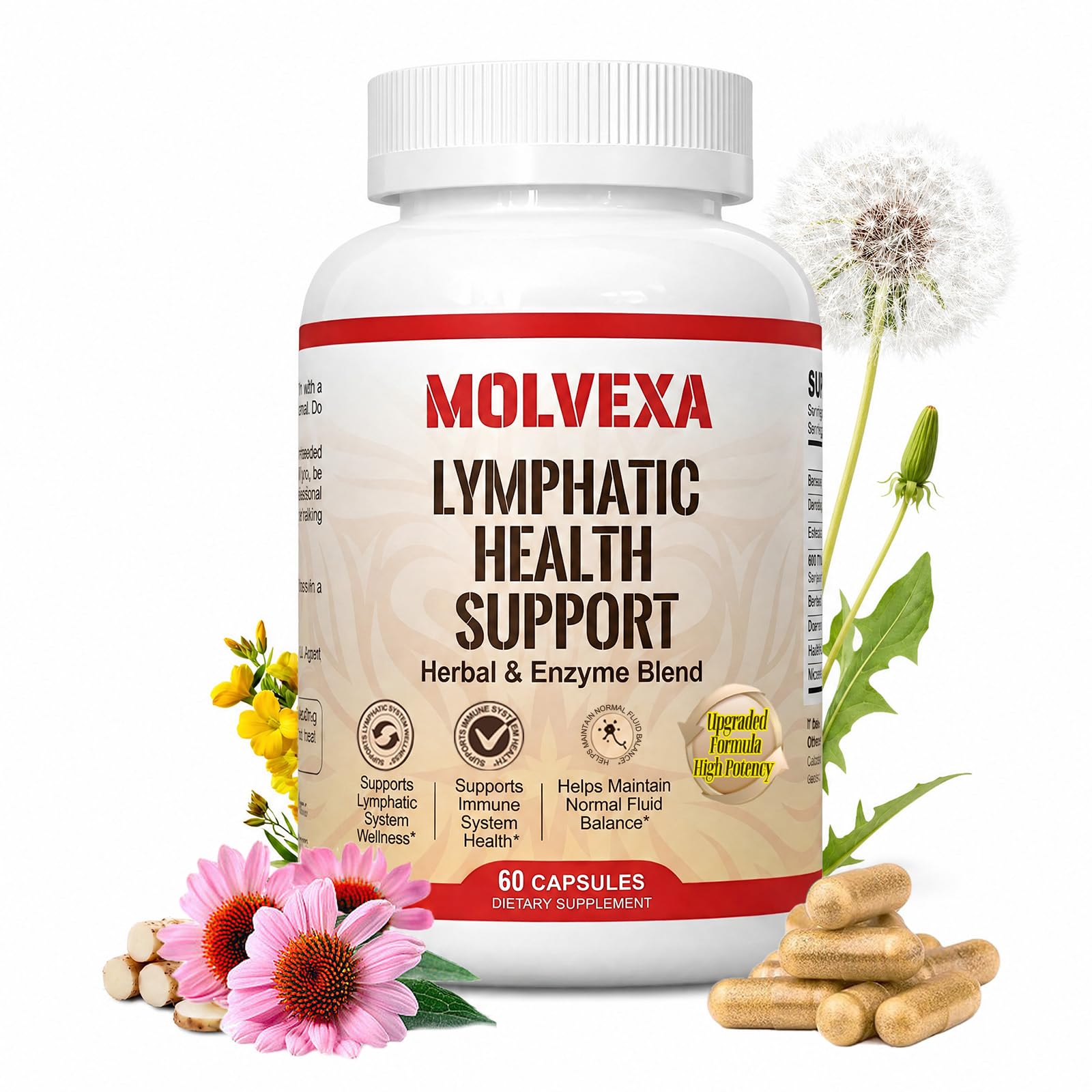 MOLVEXA Lymphatic Drainage Capsules Cleavers Extract, 60 Capsules