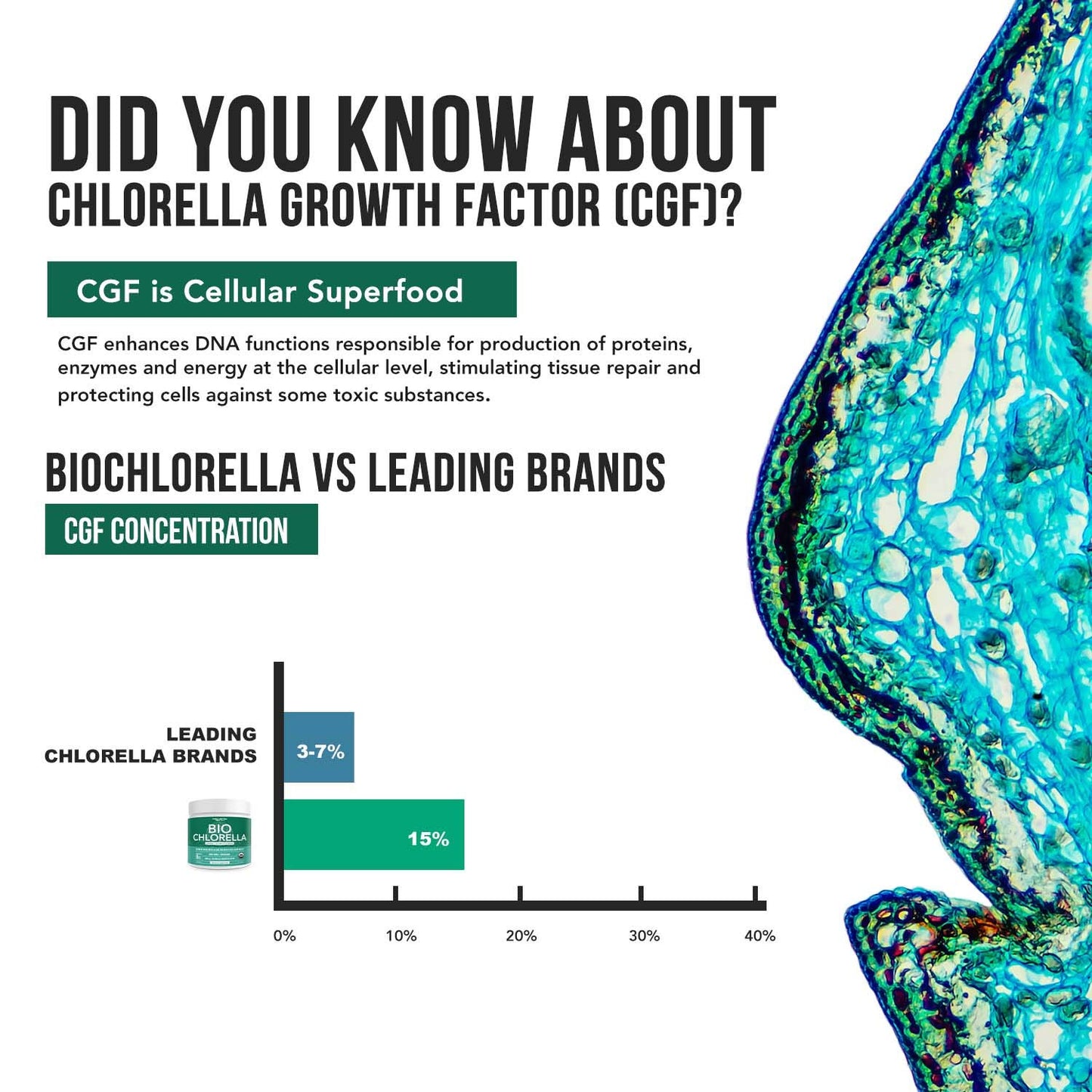 Triquetra Health Organic Chlorella Powder 7.94 oz