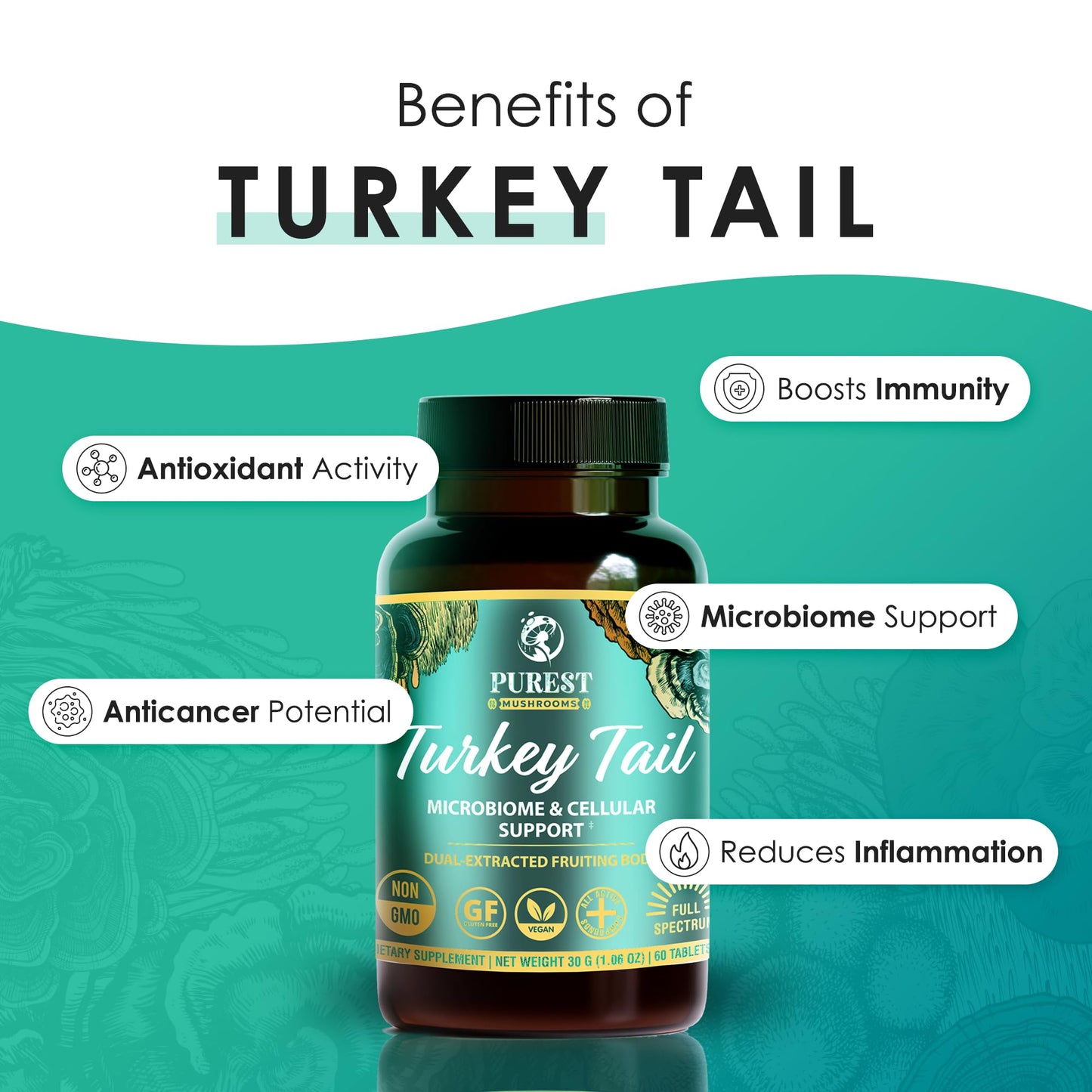 Purest Mushrooms Turkey Tail Mushroom Extract Tablets, 30 Count
