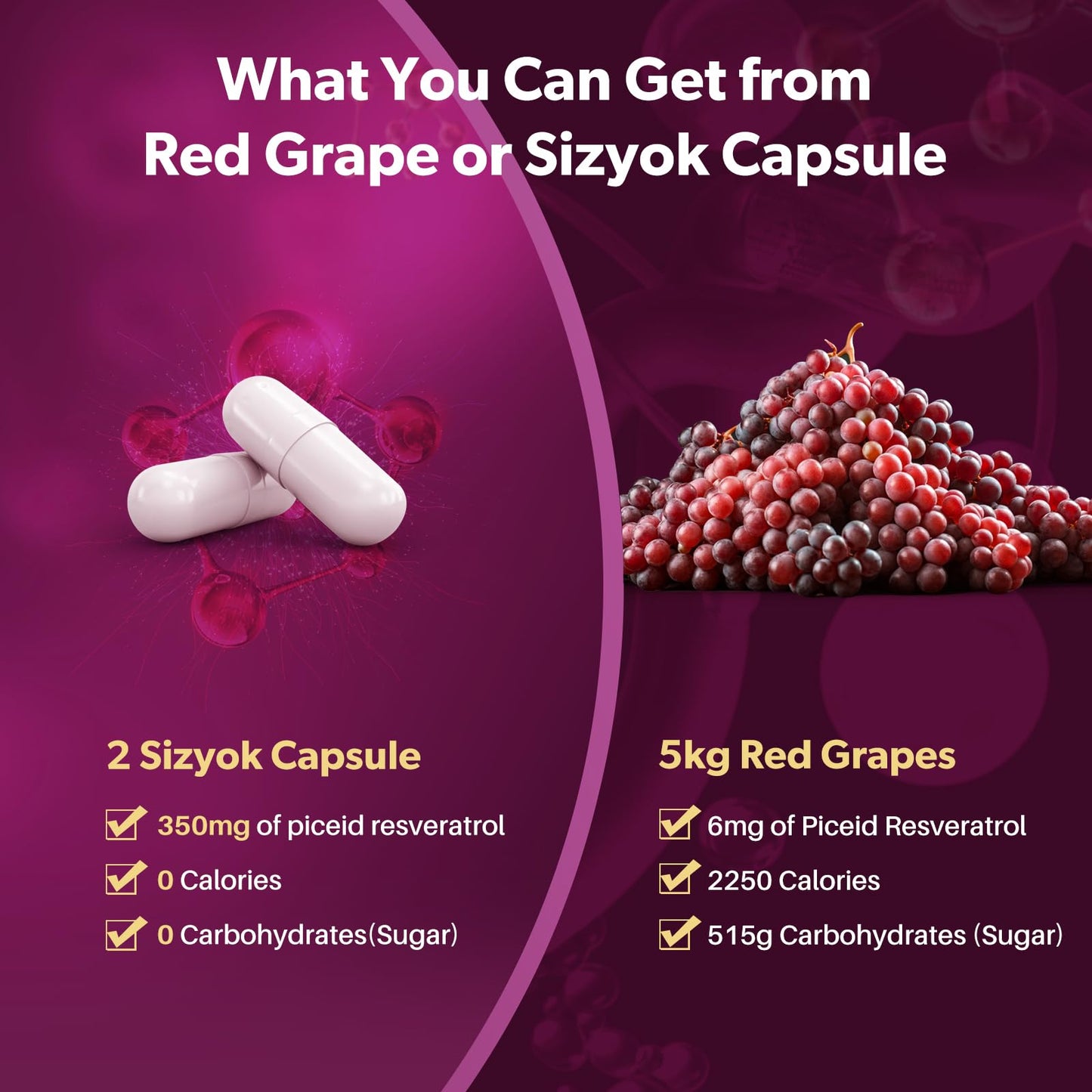 Sizyok Piceid Resveratrol Supplement and NAD+ Cell Regenerator Capsule 90 Count