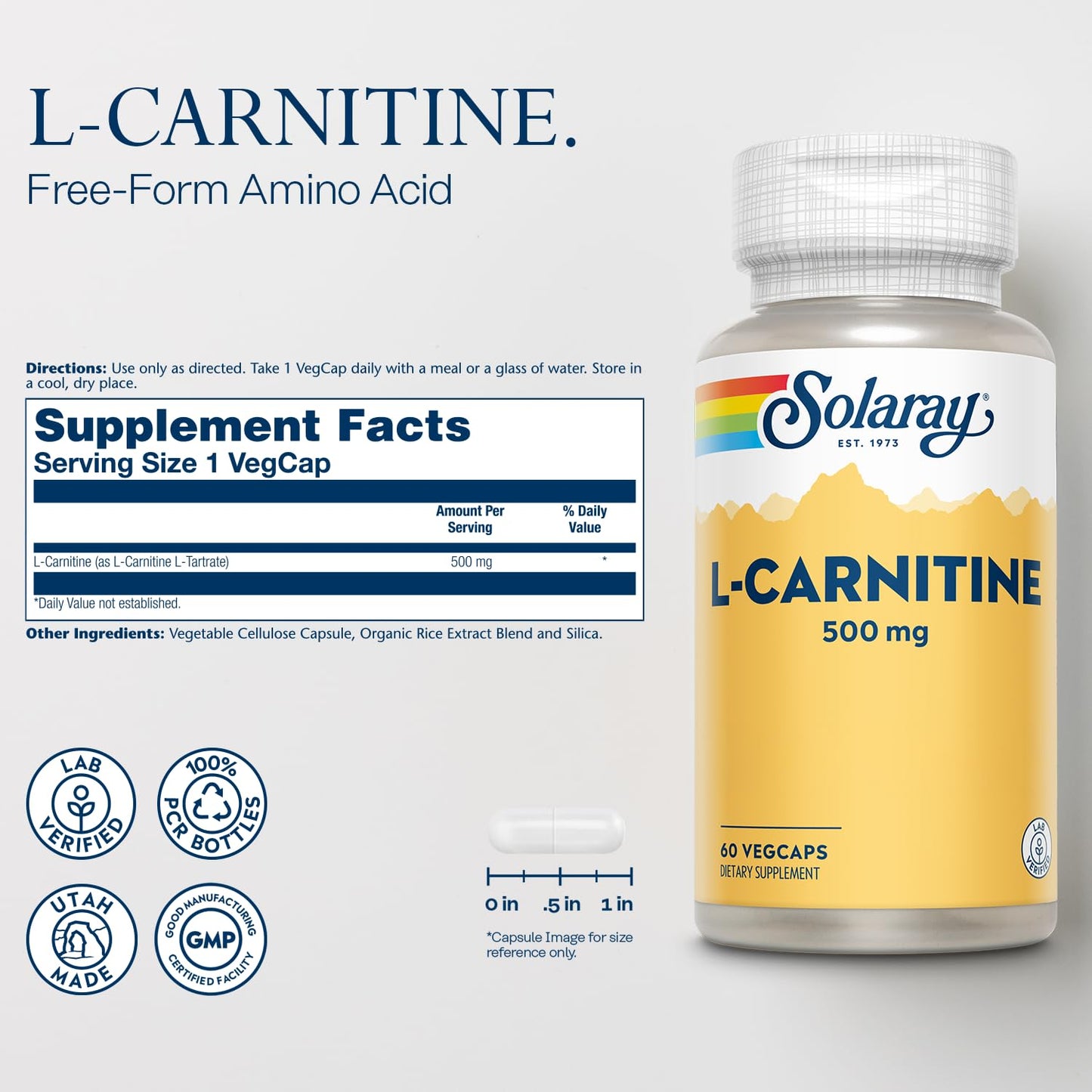 Solaray L-Carnitine 500 mg Free-Form Capsule, 60 VegCaps
