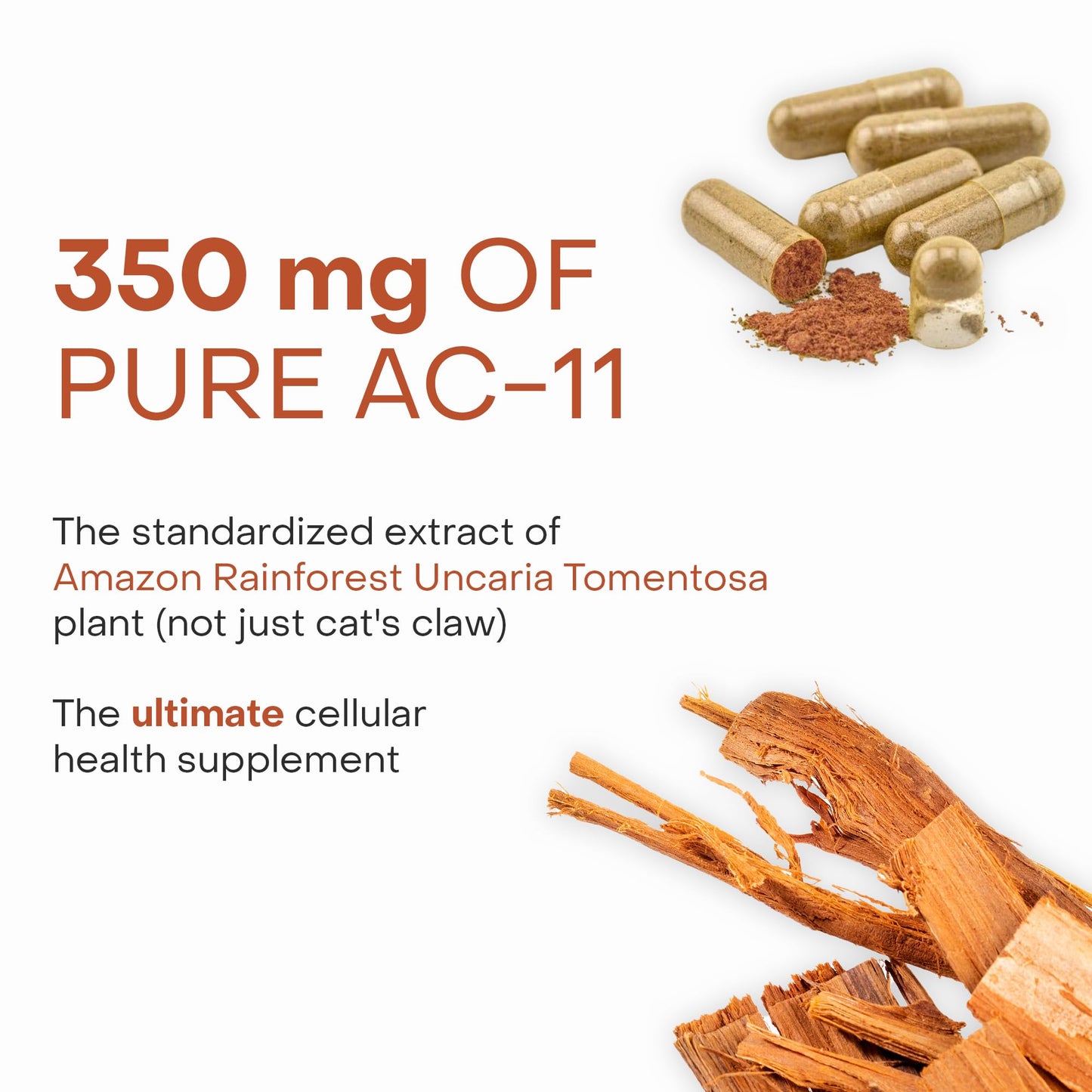 Healthycell AC-11 Bioactive Extract of Uncaria Tomentosa (Cat’s Claw) Anti-Aging Supplement, 30 Capsules