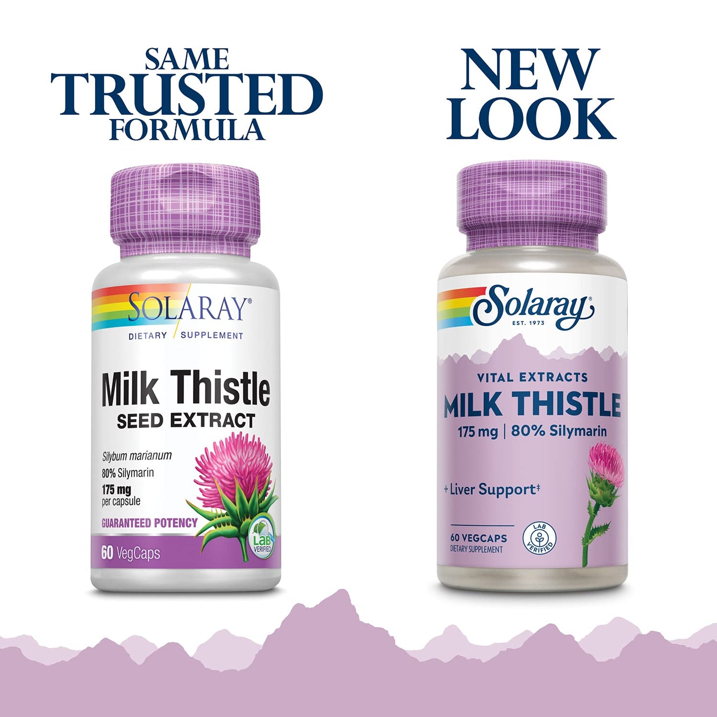 SOLARAY Milk Thistle Seed Extract 175mg Capsules, Non-GMO & Vegan, 60 Capsules