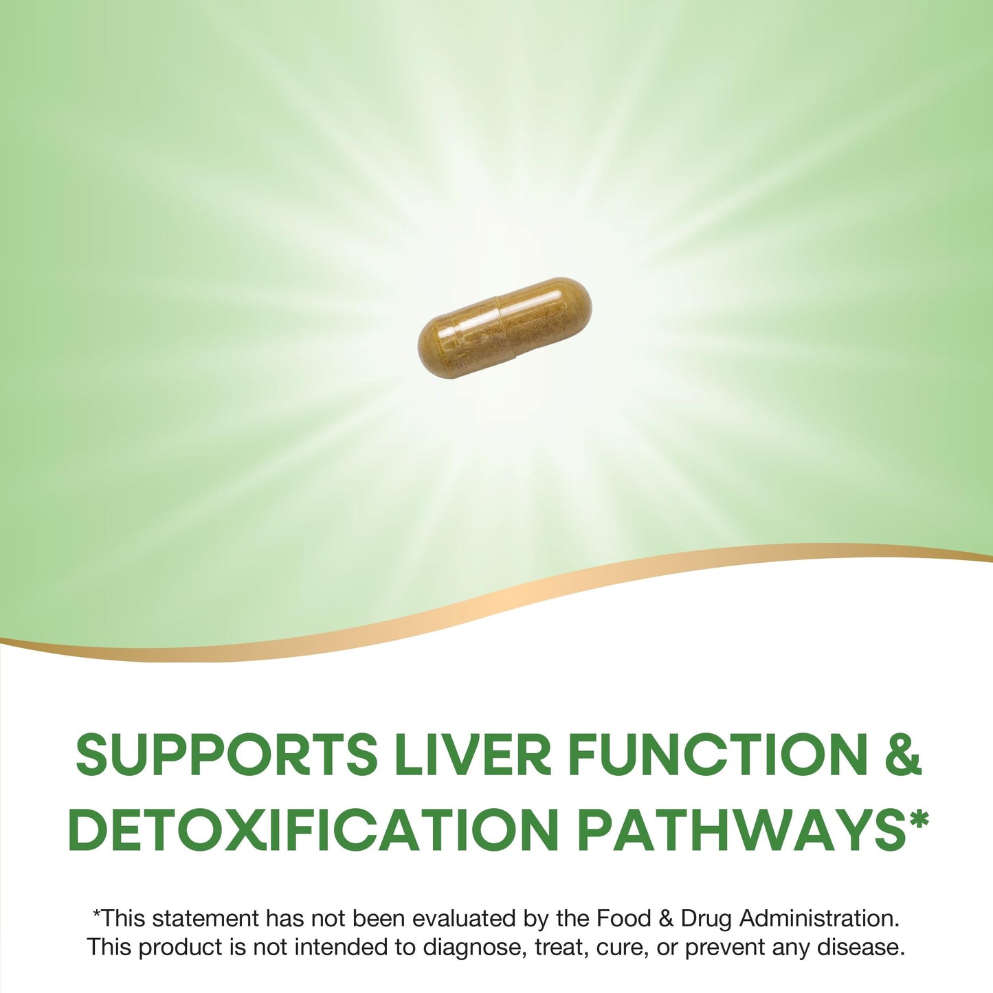 Nature's Way Milk Thistle 240 Capsules