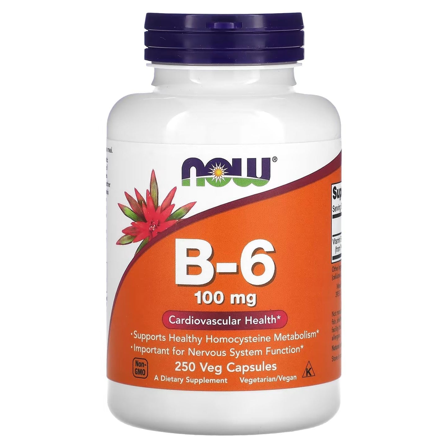 NOW Foods Vitamin B-6 100mg Capsule, 250 Capsules