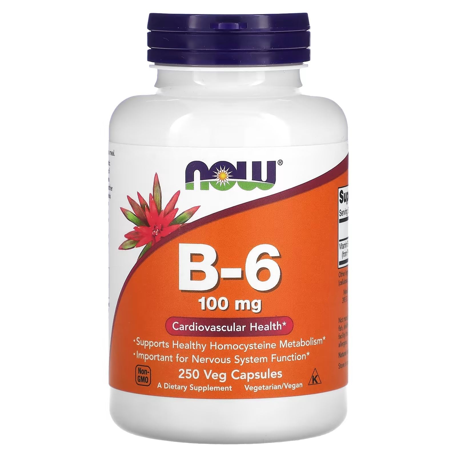 NOW Foods Vitamin B-6 100mg Capsule, 250 Capsules