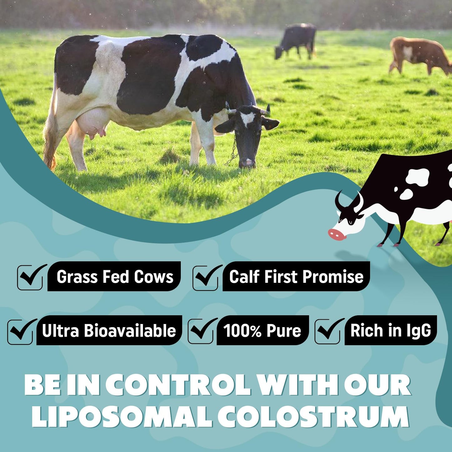 Marafiki Liposomal Bovine Colostrum Supplement Powder 5.3 Ounce (Pack of 1)