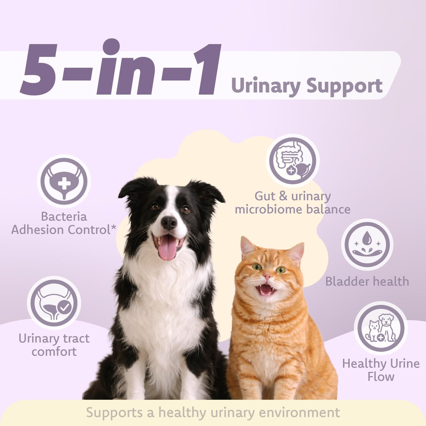 LOVITA Urinary Tract Support for Dogs & Cats Capsule, 60 Capsules