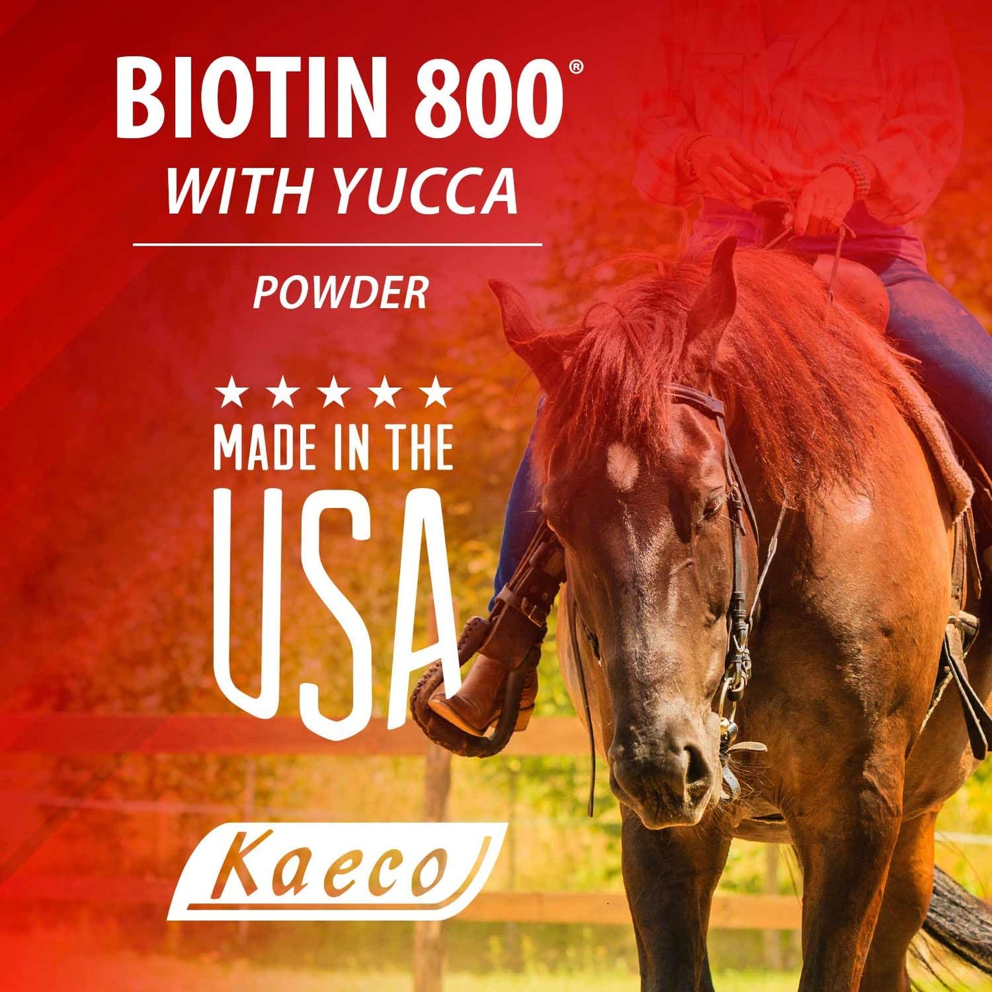 KAECO GROUP INC Biotin 800 Powder, 1 Count