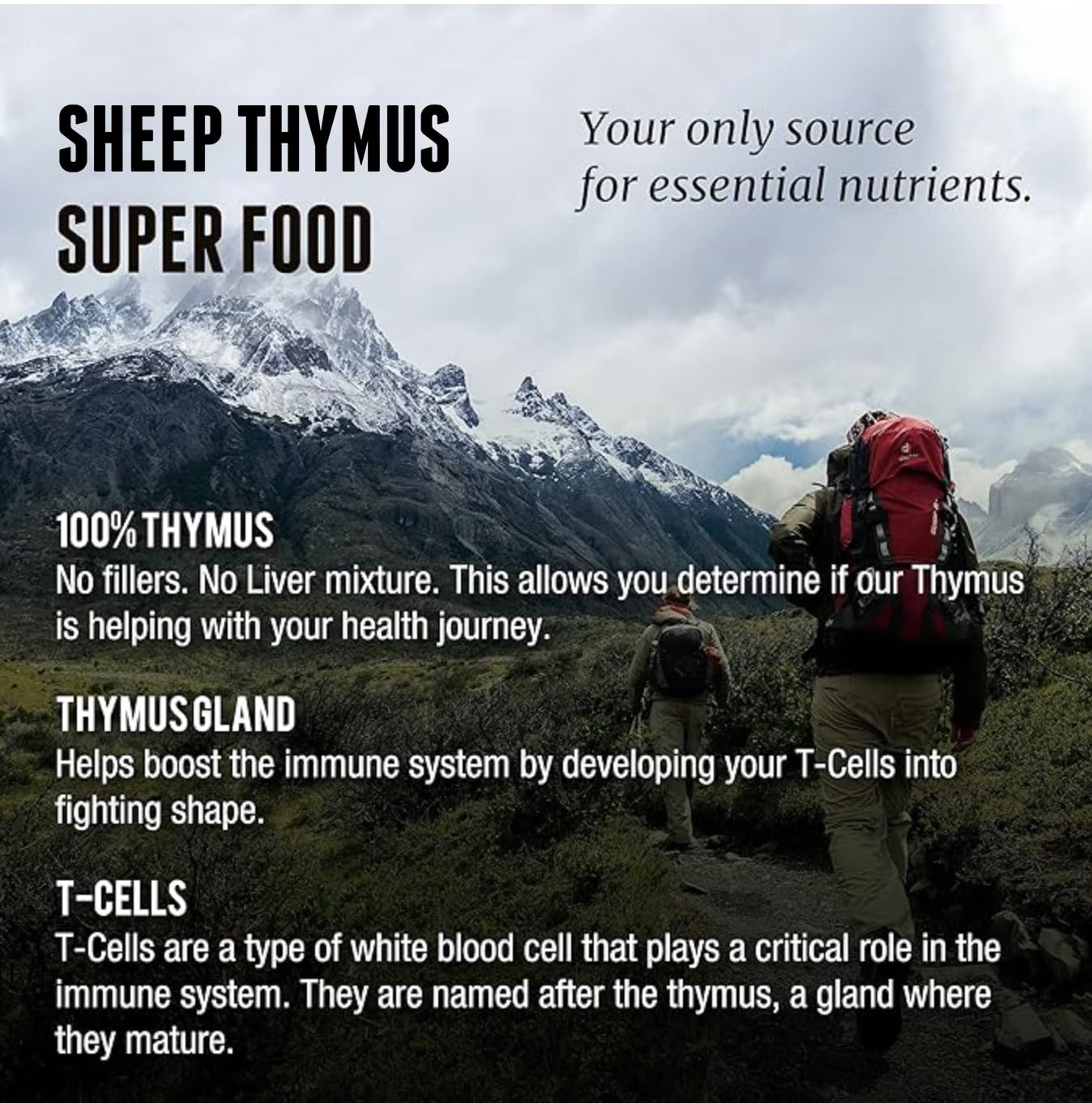 One Earth Health Grass Fed Thymus Capsules 200 Count