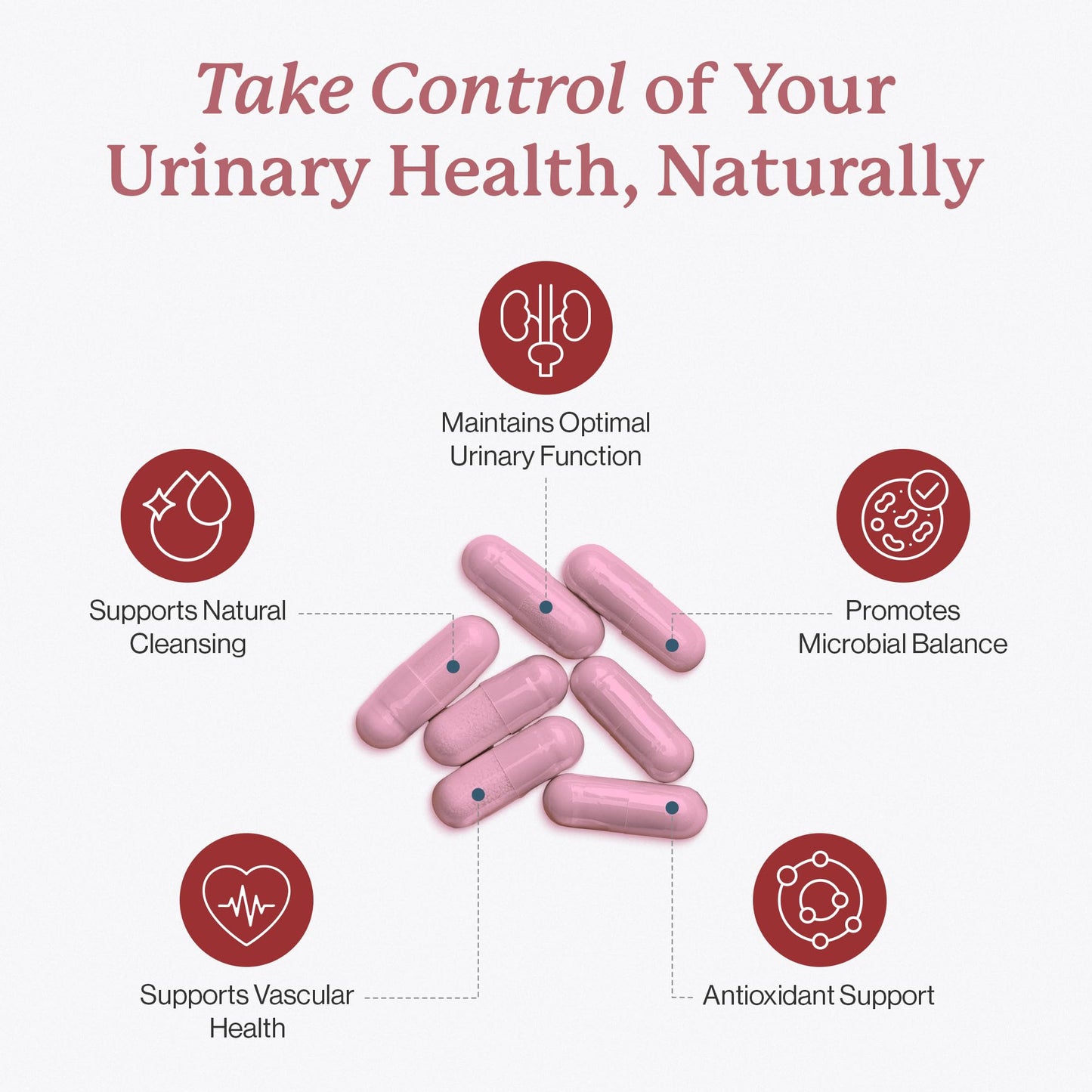Dr. Fuhrman Ut Biotect Urinary Tract Supplement Capsule 120 Count