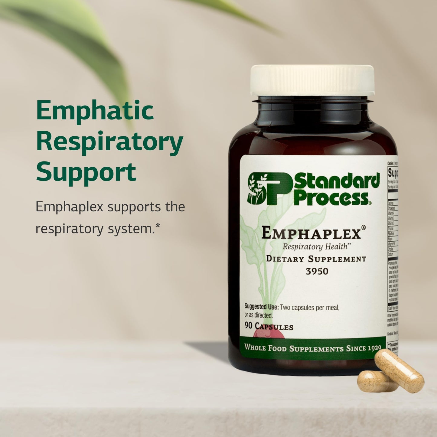 Standard Process Inc. Emphaplex Respiratory System Supplement for Antioxidant Support for Cellular Energy Support & Nervous System Health, 90 Capsules