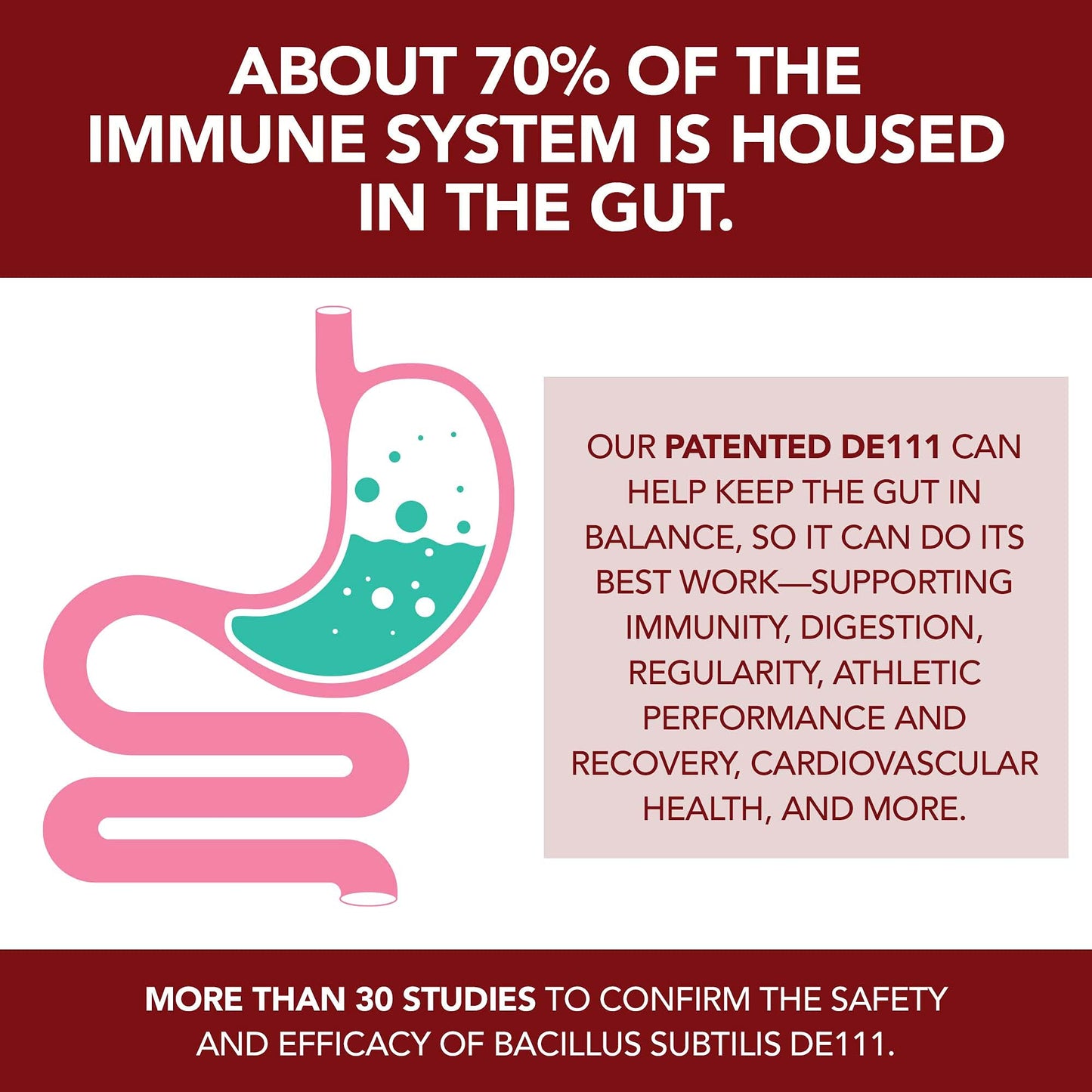 PLANT.O NUTRITION Organic Probiotic Gummies 5 Billion CFUs, 30 Gummies