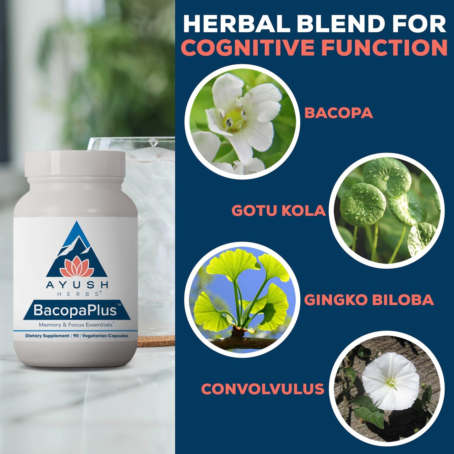 Ayush Herbs BacopaPlus Capsules 90