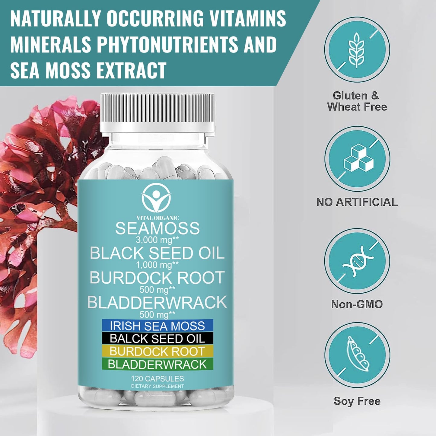 VitalOrganic Organic Sea Moss, 120 Capsules