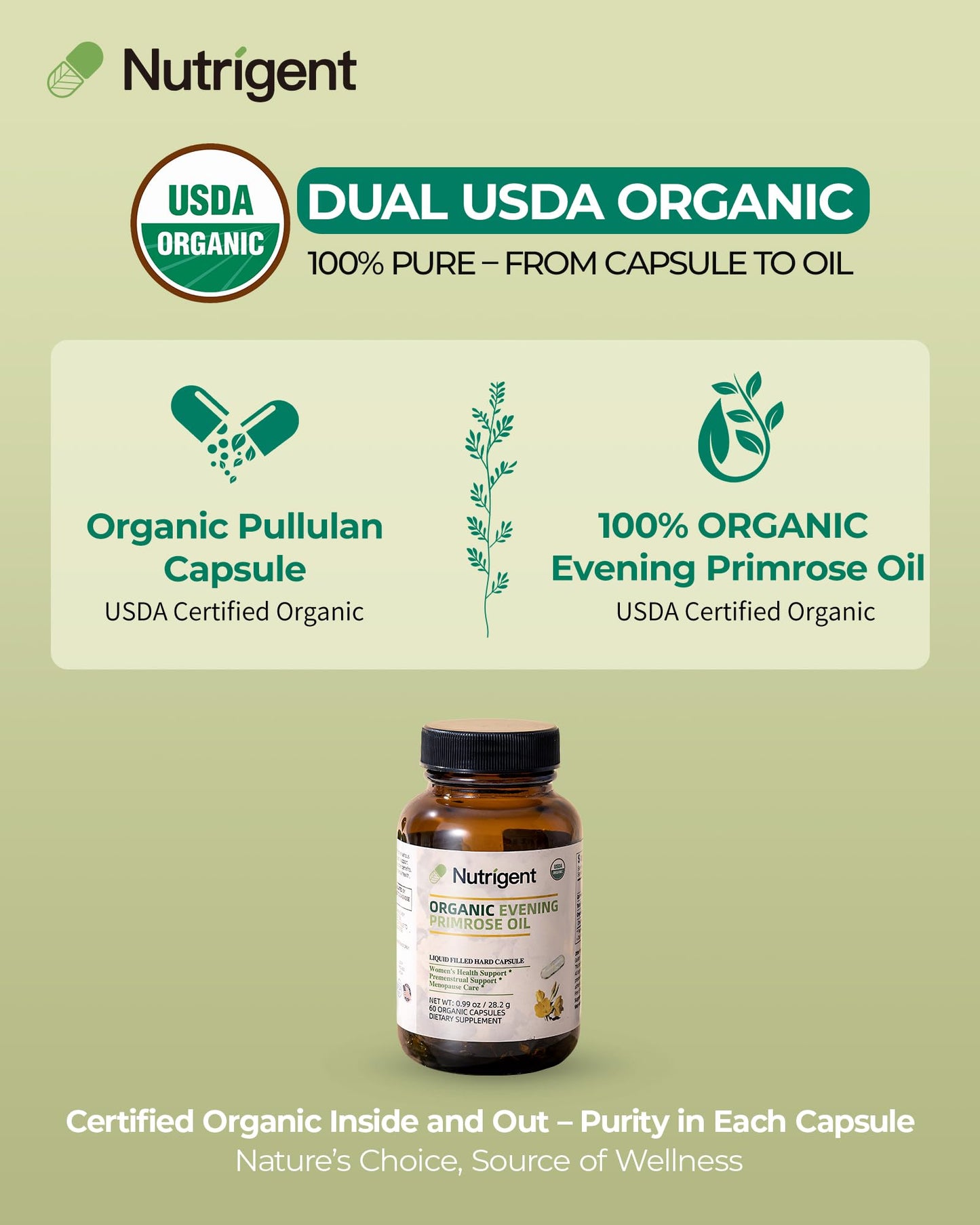Nutrigent Evening Primrose Oil Capsules, 60 Count
