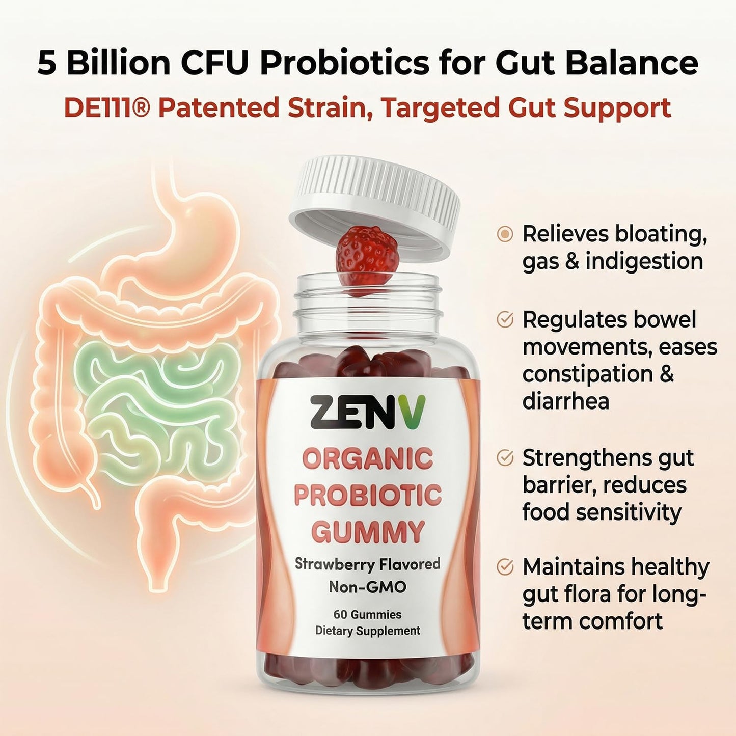 ZENV Probiotic Gummies 60 Count