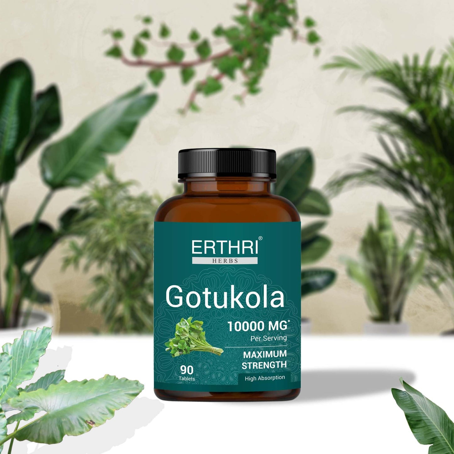 ERTHRI Gotu Kola Tablets 100% Organic 10,000mg, 90 Tablets