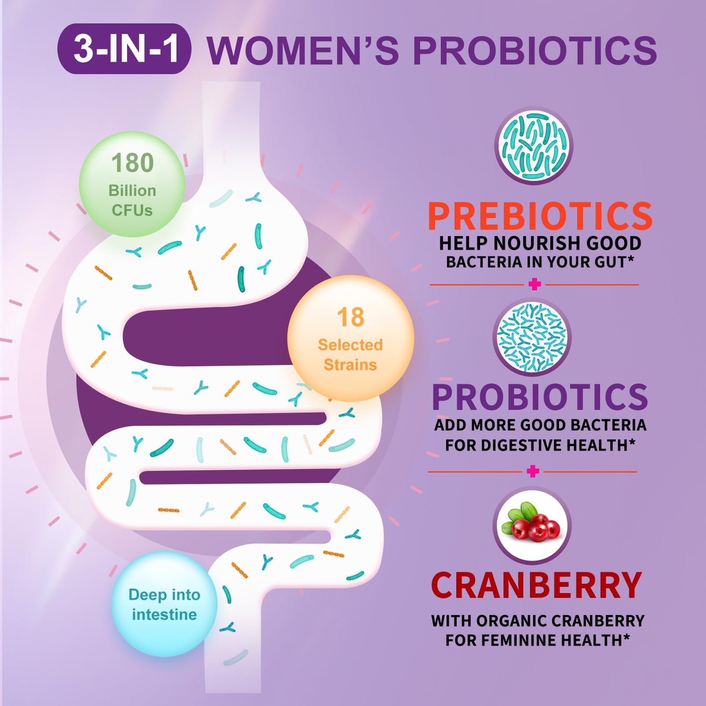 OMOGS Women's Probiotic Tablets, 180 Billion CFUs, 18 Strains, with Prebiotics, Cranberry Extract, D-Mannose & Digestive Enzymes, 180 Tablets