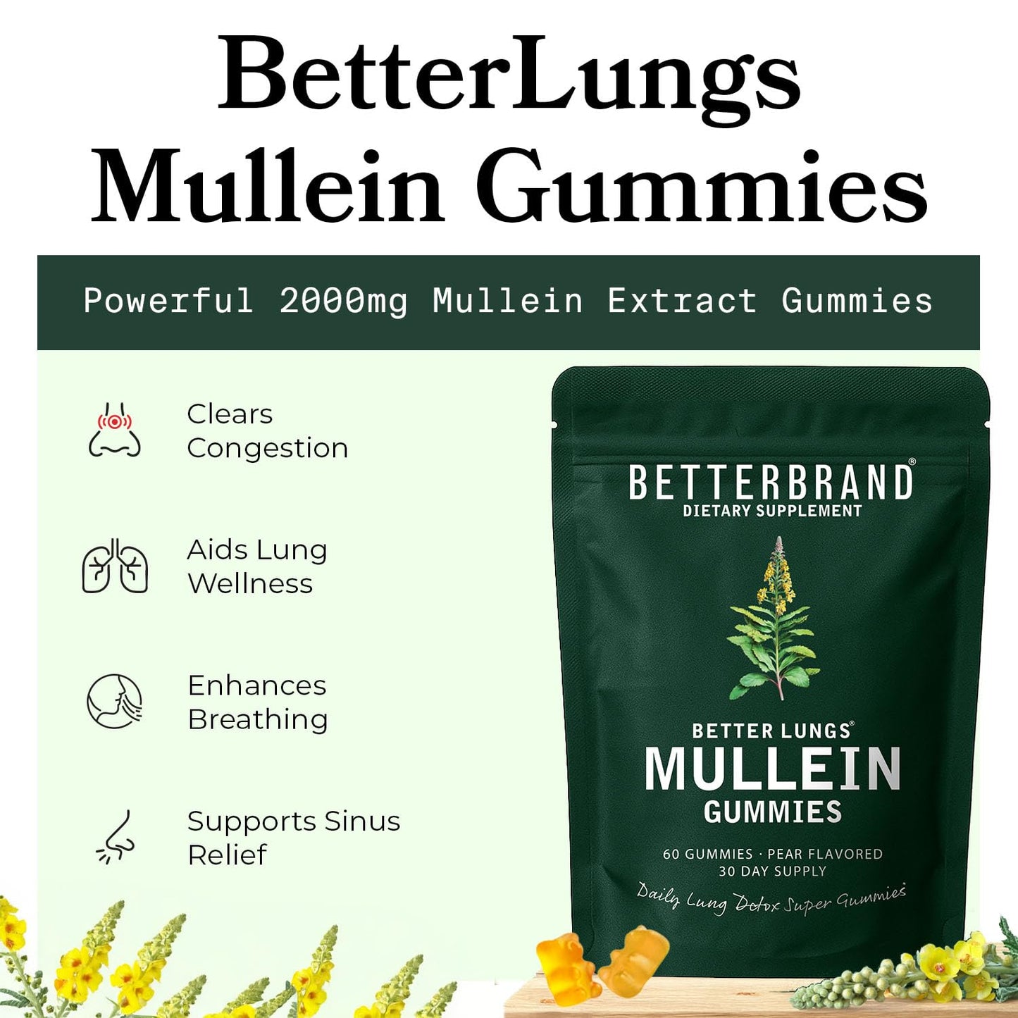 Betterbrand BetterLungs Mullein Leaf Extract and Gummies Bundle - Lung Health Support, Liquid and Gummies, 2-Pack