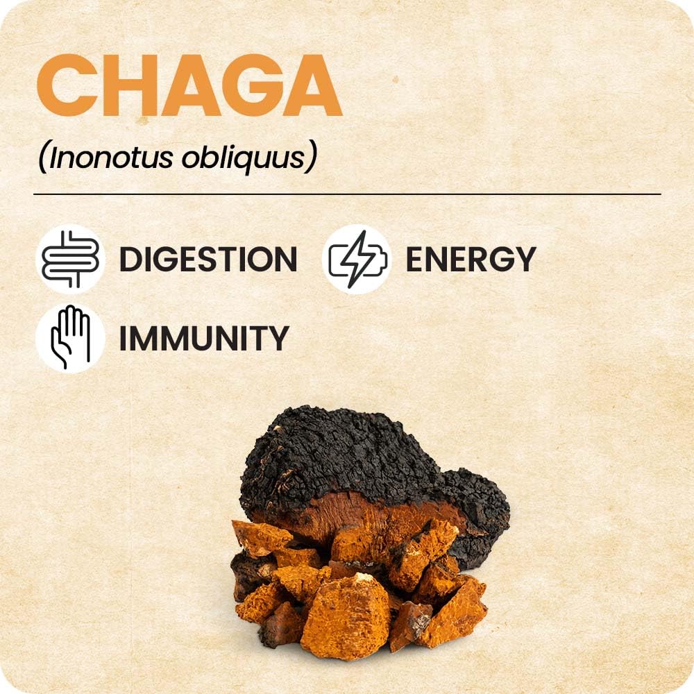 Xero Picks Shroomeaz Beneficial Mushroom Gummies Made with Real Fruit (Chaga), 30 Count