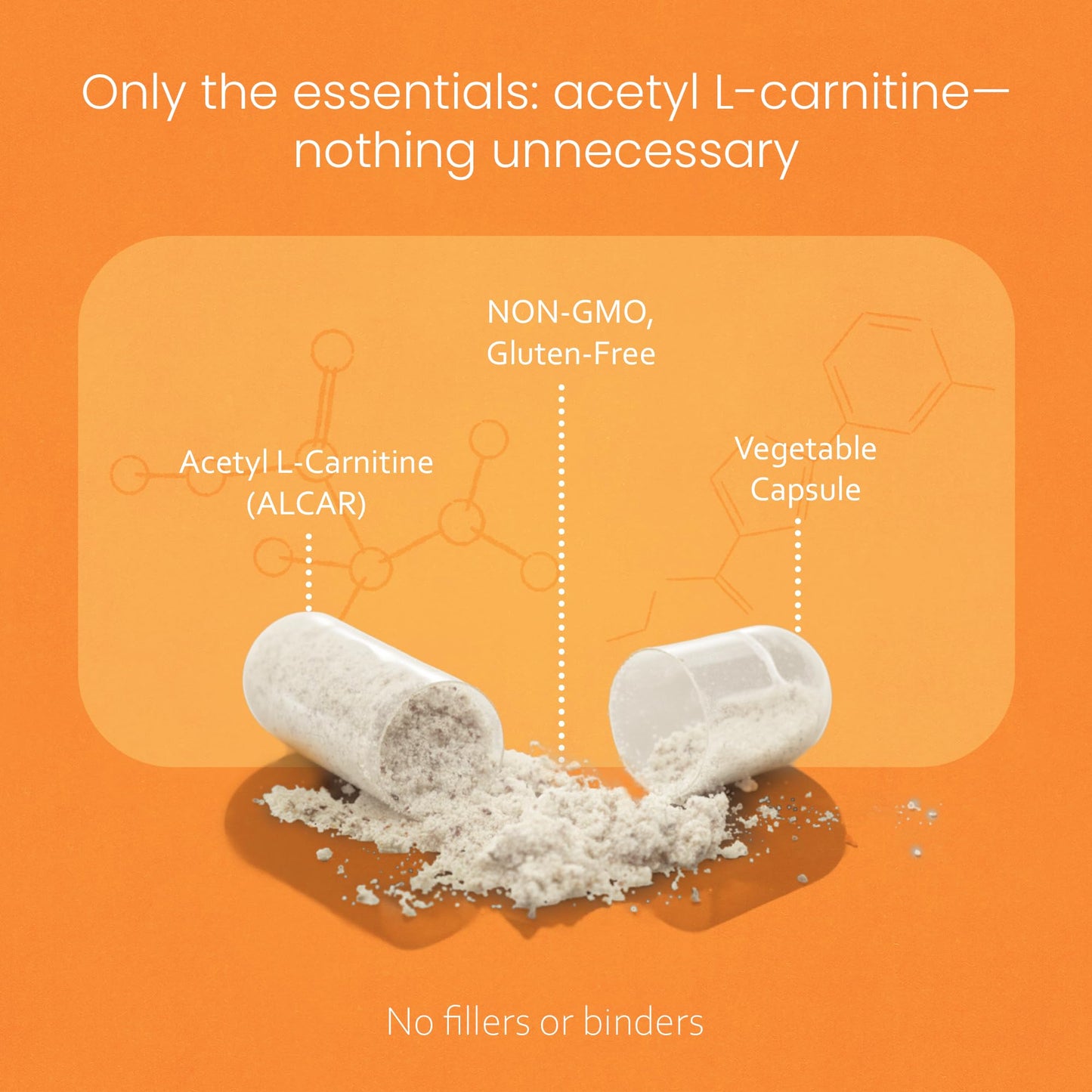 NaturaLife Labs Acetyl L-Carnitine (ALCAR) Capsule, 200 Capsules
