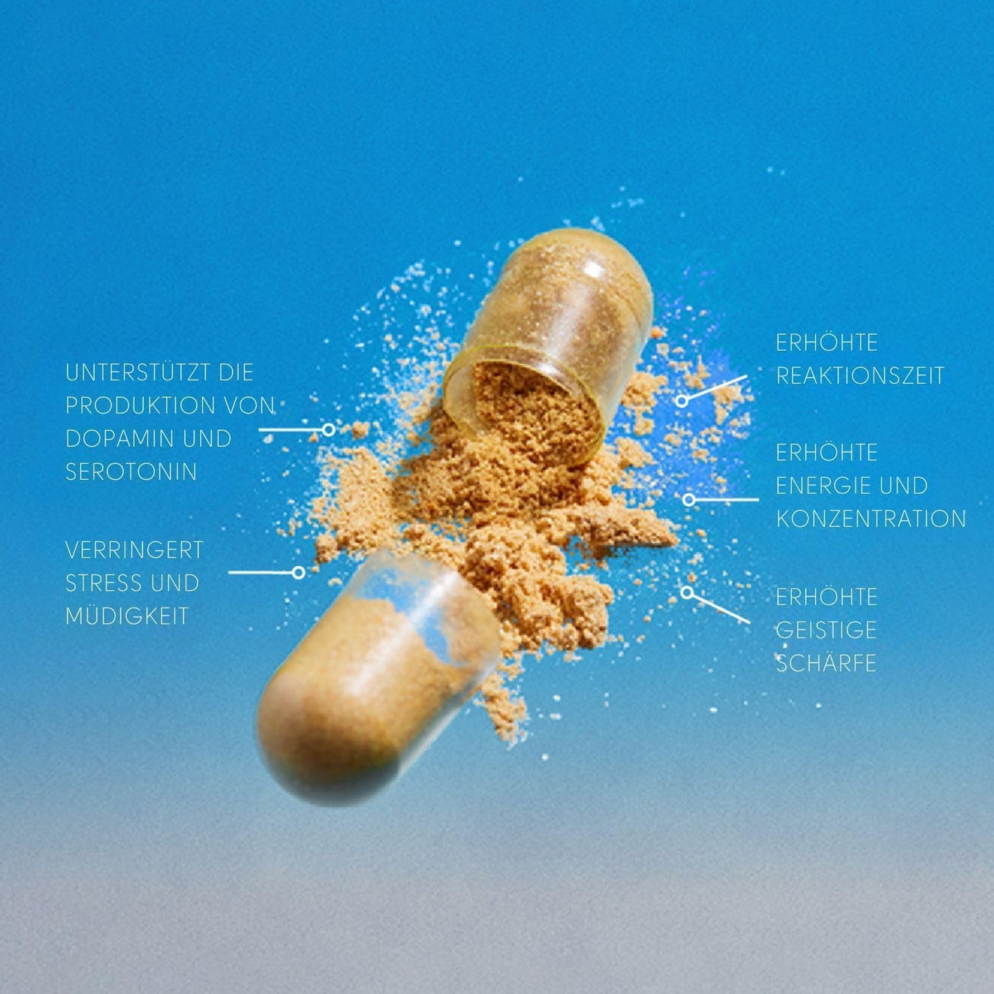 THEROOTBRANDS Root Wellness Zero-in by Dr. Rahm - Combination of Turmeric, Pine Bark Extract, 60 Capsules