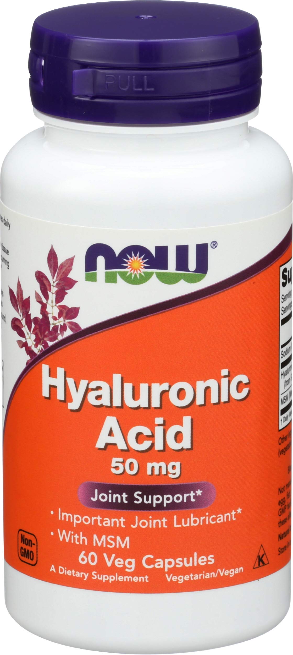 NOW Foods Hyaluronic Acid 50 mg + MSM Capsule 60 Count