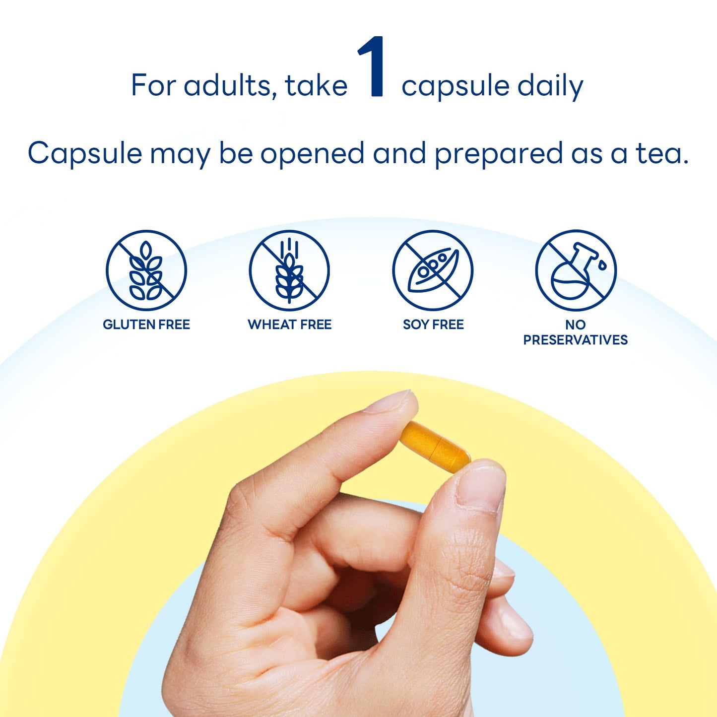 Vitamin World Turmeric Curcumin 1000mg Capsule, 60 Count