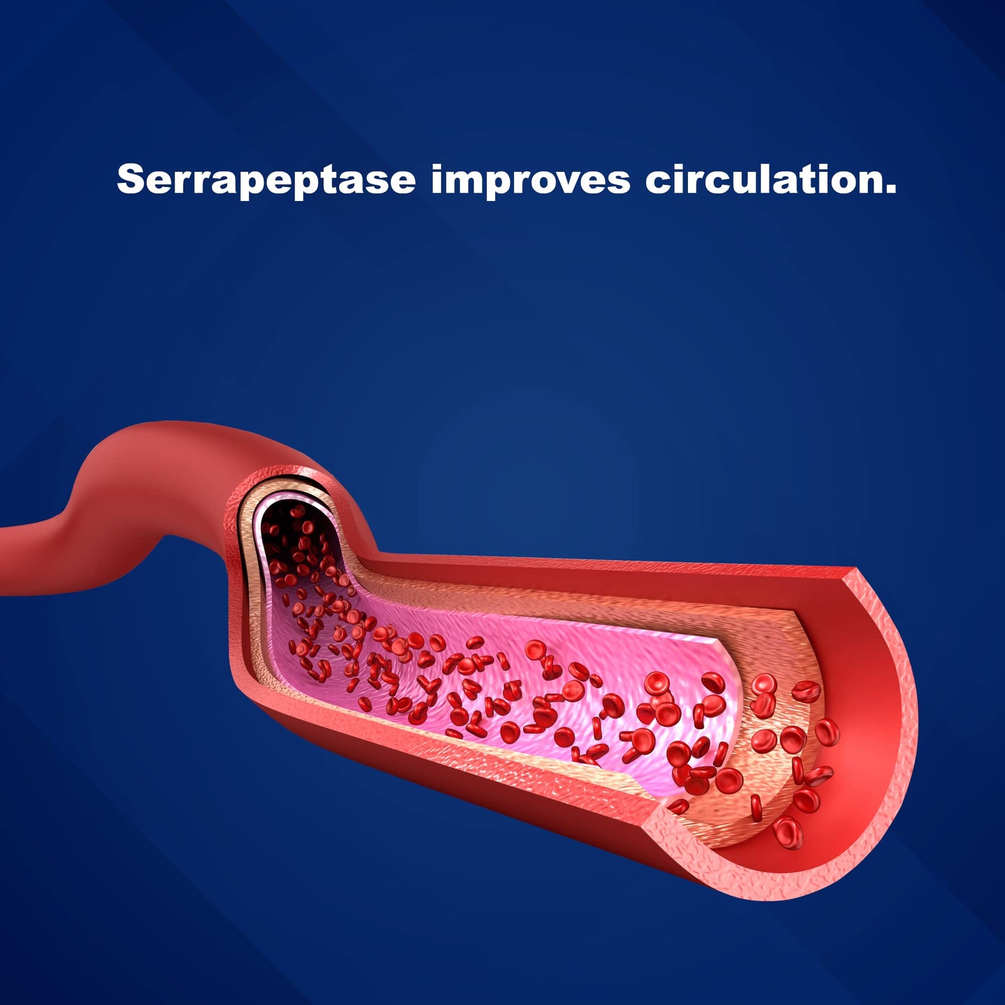 LifeLink Cardiopeptase (Serrapeptase) 5 mg Enteric Coated Tablets, 100 Count