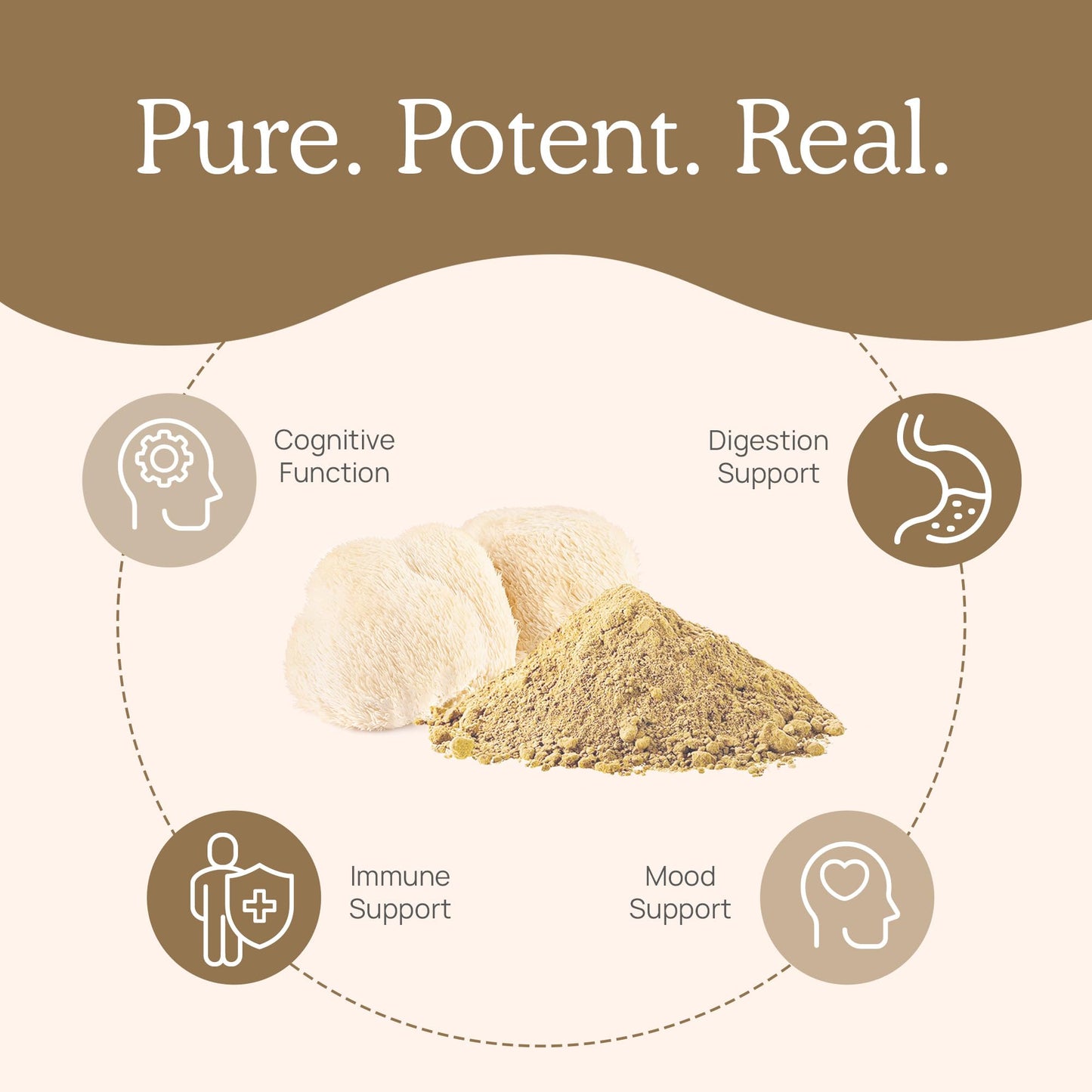 Real Mushrooms Ergothioneine and Lions Mane Capsule Duo, 2 Capsules