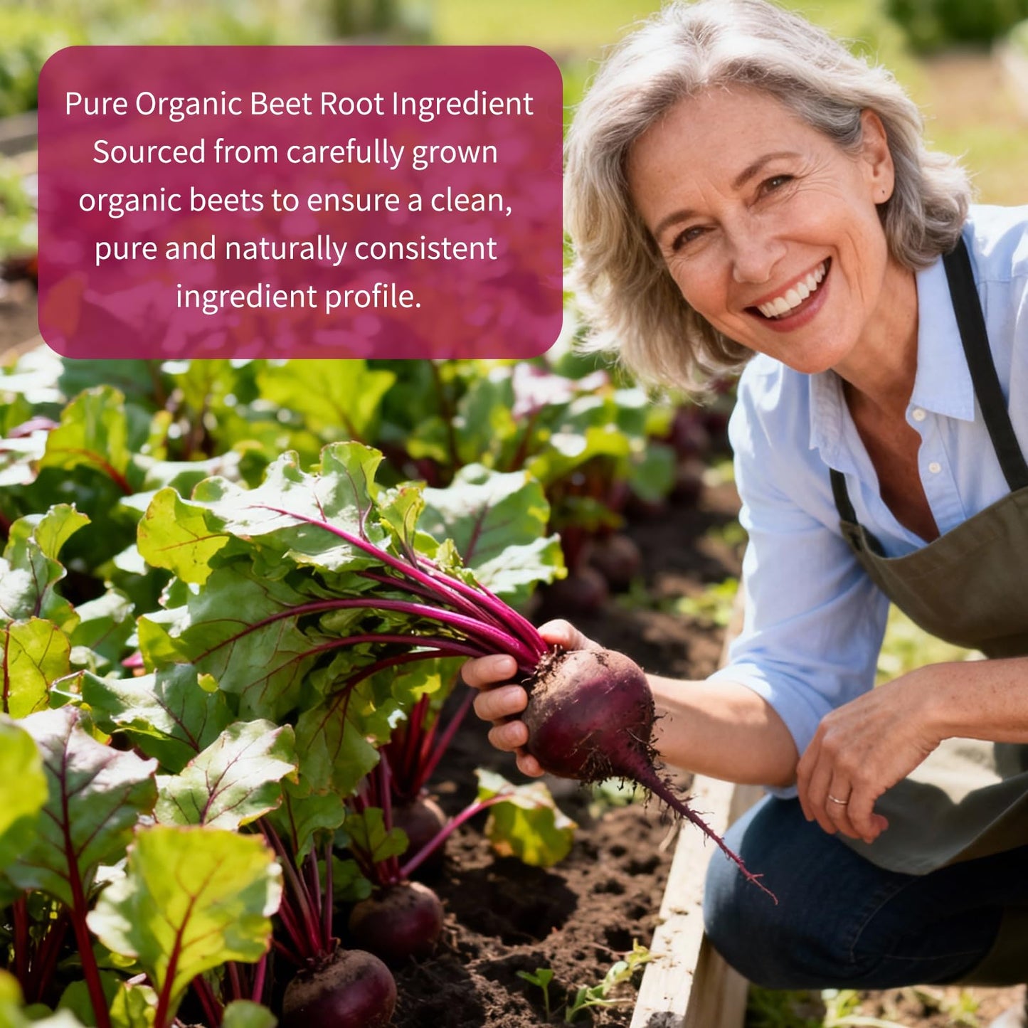 Vitarevive Organic Beet Root Capsules 120 Count