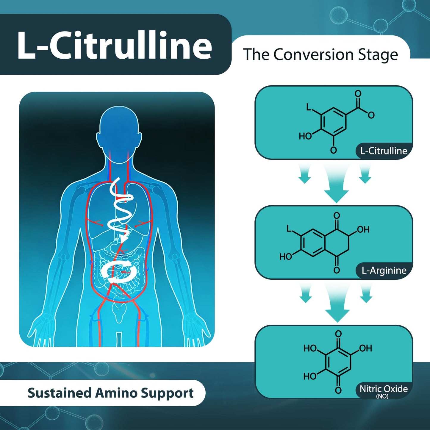 ABYSSUS L-Citrulline Gummies for Men 3000mg, Gummy, 60 Count
