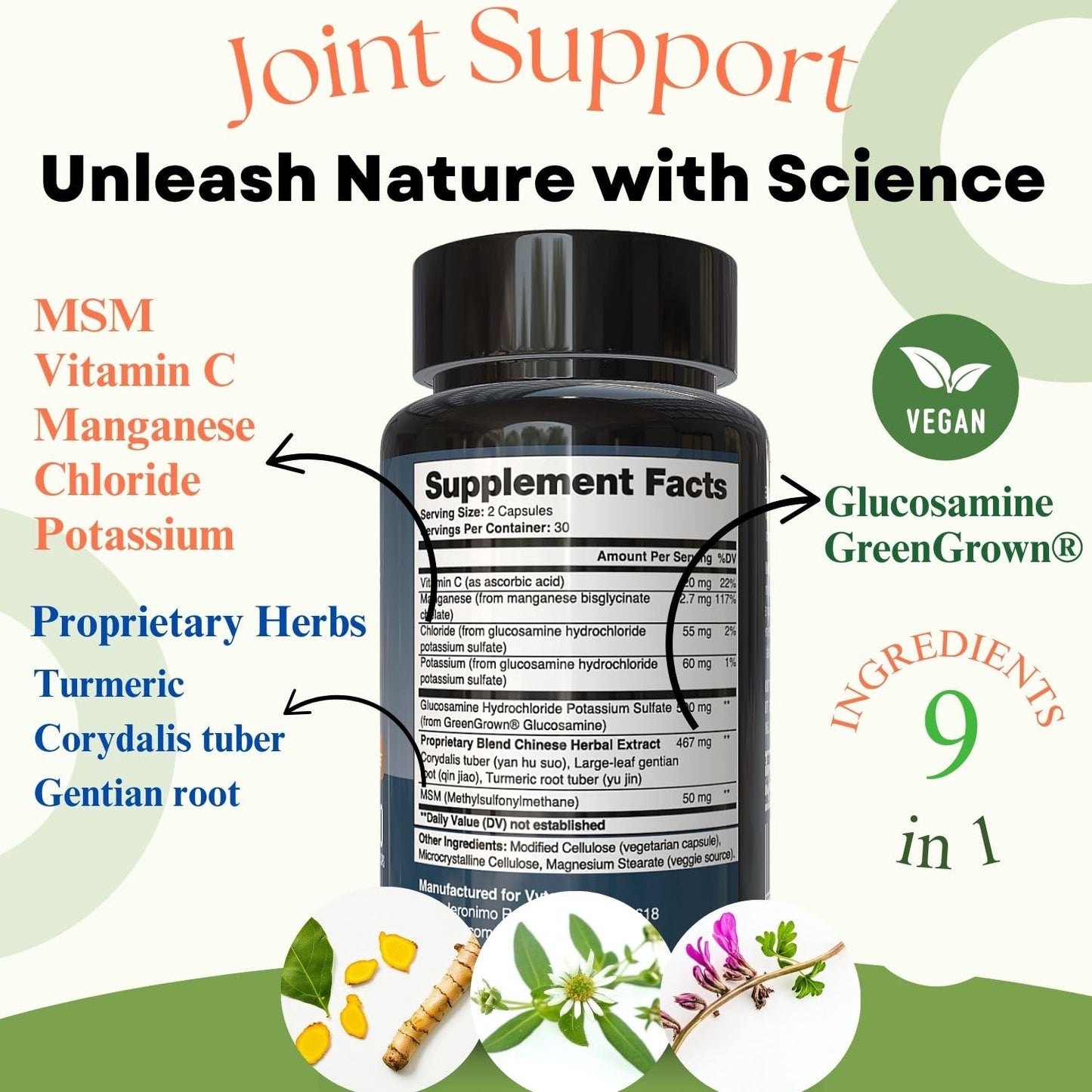 Vytanutra Joint Support for Seniors & Active Adults - Glucosamine, MSM, Vitamin C & Herbal Blend with Corydalis & Turmeric - Mobility & Flexibility Formula - 180 Capsules