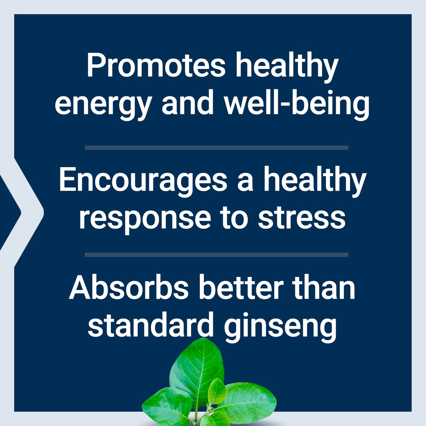 Life Extension Ginseng Energy Boost Capsule, 30 Capsules