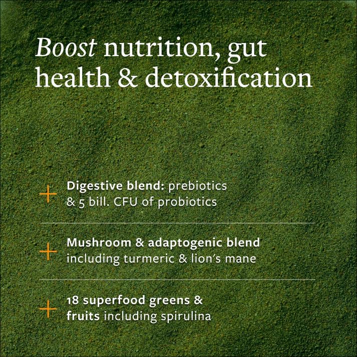 CLEAN Greens Superfood Powder - Organic Green Blend with Probiotics, Mushrooms & Adaptogens for Energy, Gut Health & Daily Nutrition - Apple Flavored Plant-Based Greens Supplement, 11.29 oz