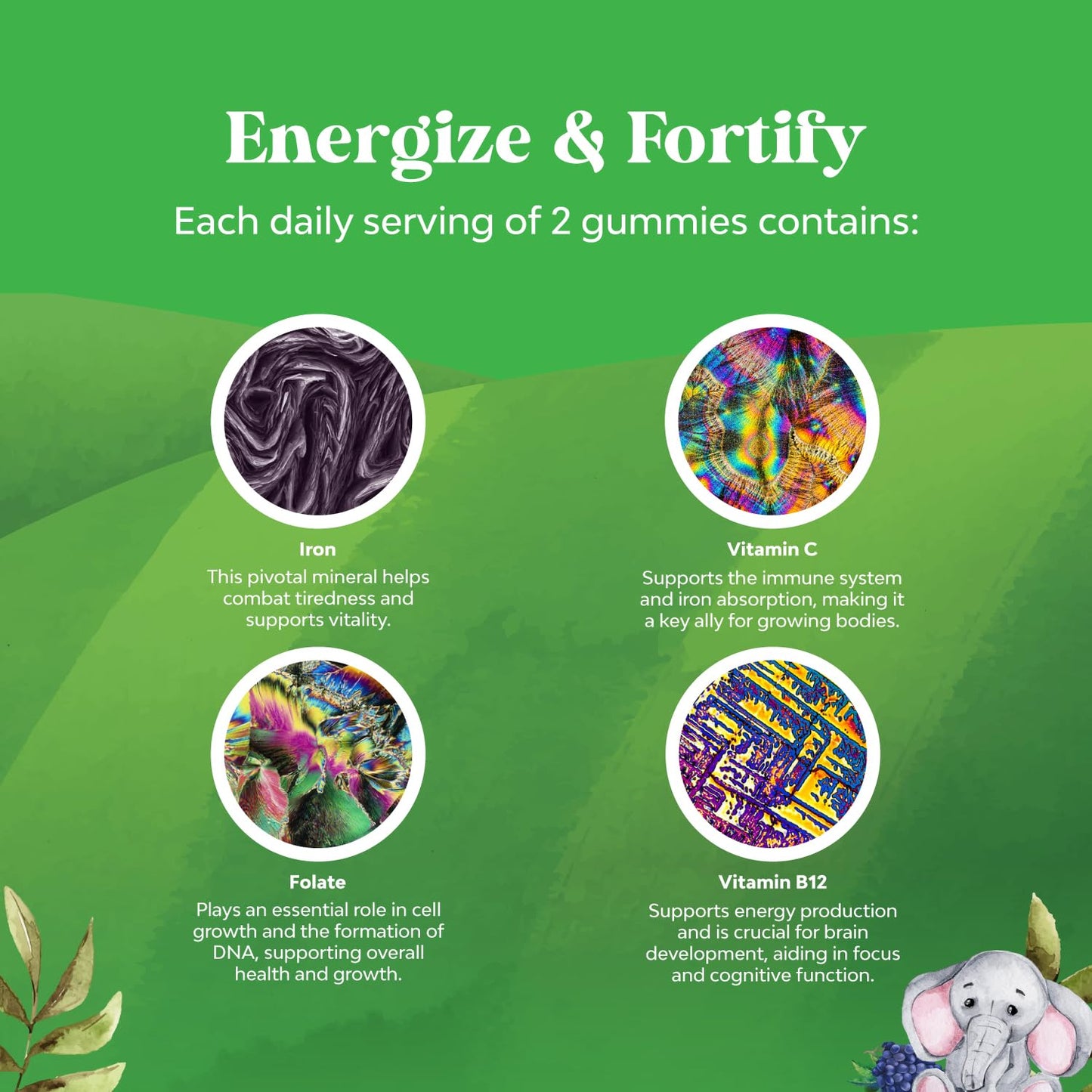 Natures Craft Kids Iron Gummies 90 Count