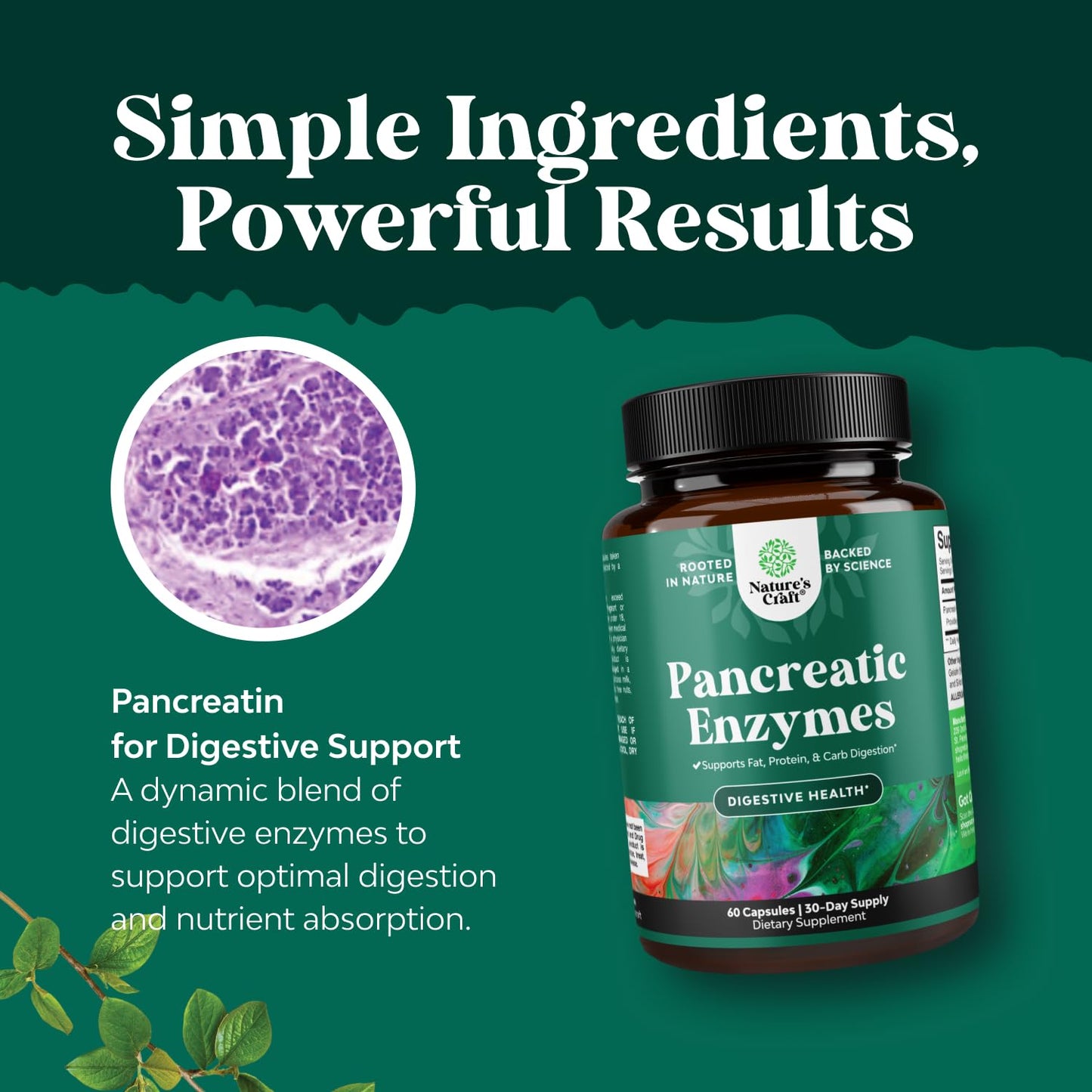 Natures Craft Pancreatin Digestive Enzymes Capsule, 60 Count