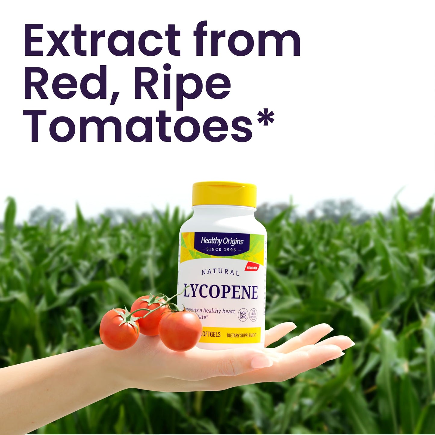 Healthy Origins Lycopene 15 mg Softgels, 180 Count