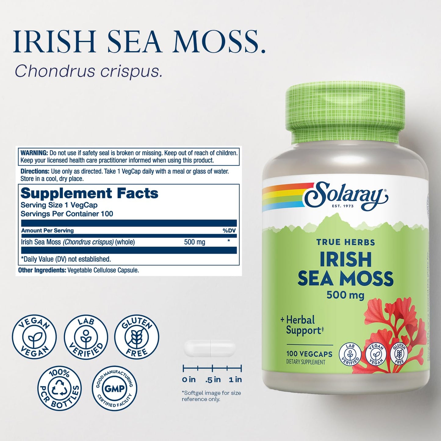 SOLARAY Irish Sea Moss 500 mg Naturally Occurring Vitamins, Minerals, and Fiber Herbal Support for Gut Health and More Capsules 100
