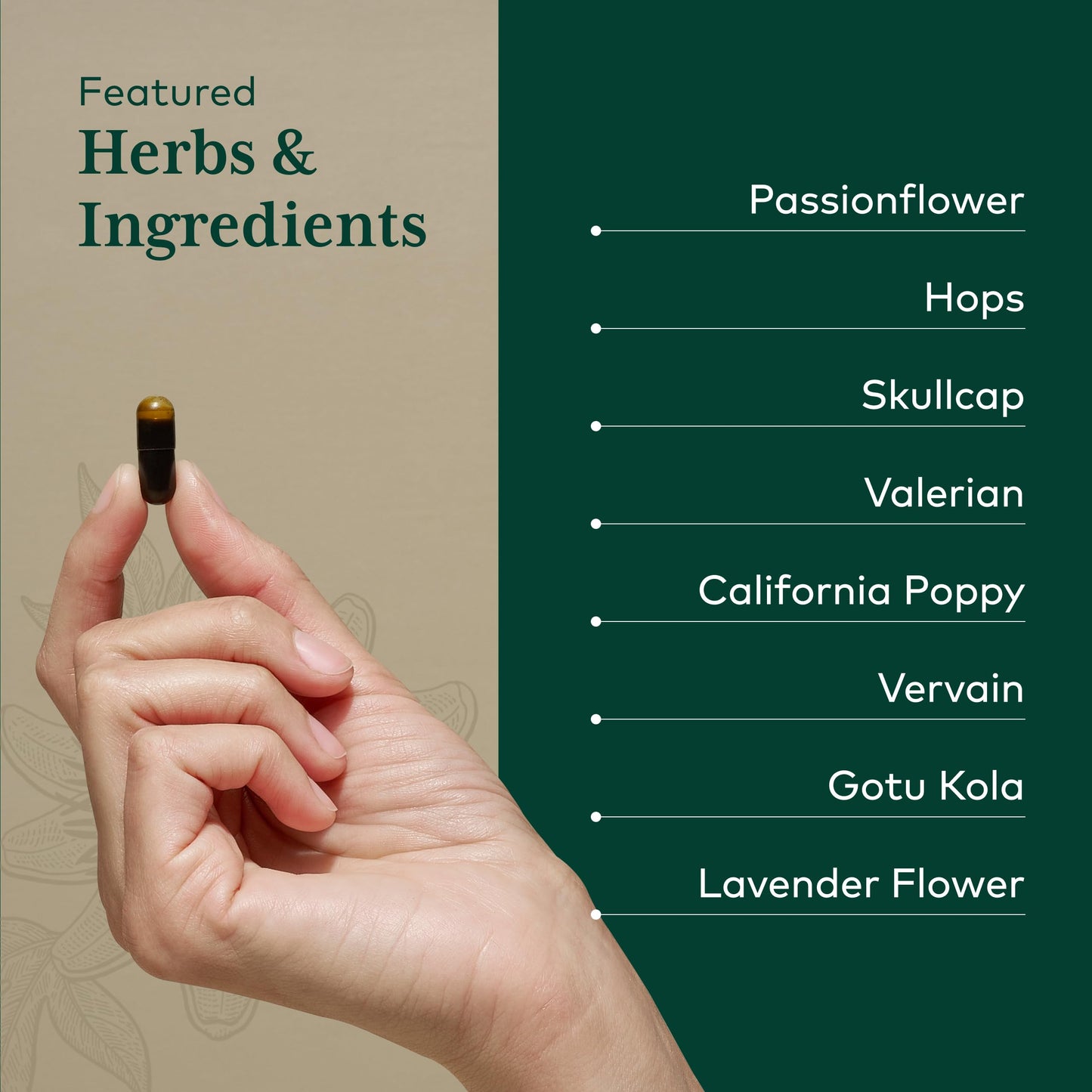 Gaia Herbs PRO Sleep Formula Capsules, 60 Count