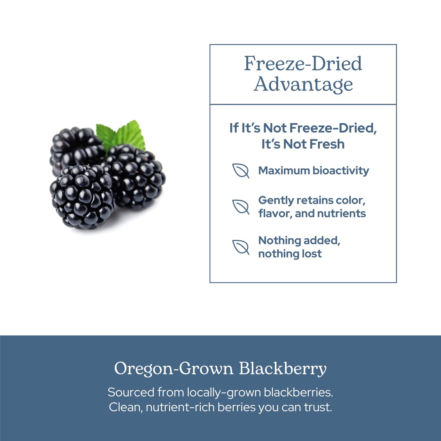 Eclectic Institute BlackBerry Fruit Capsules 90 Count