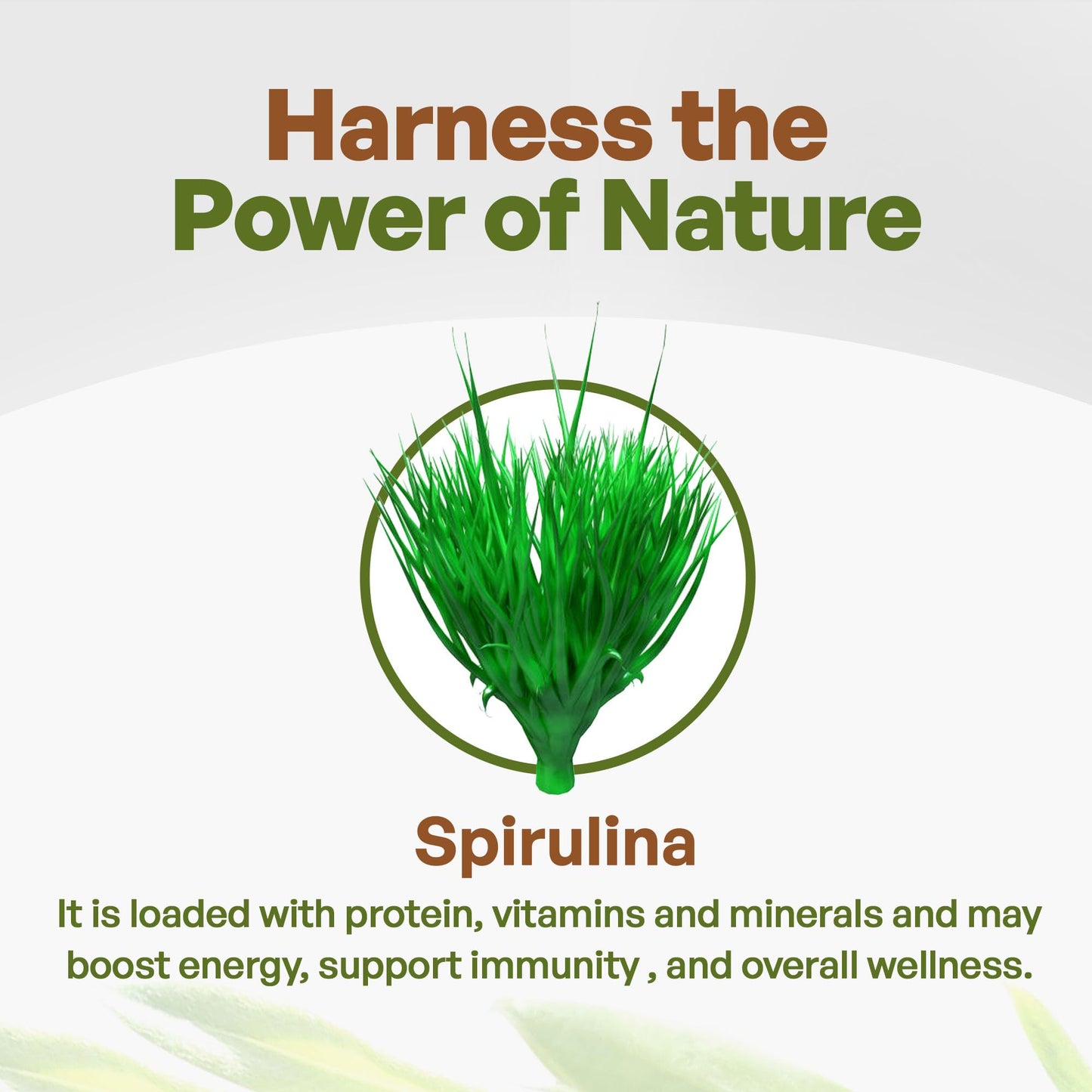 Go Nutra Organic Spirulina 720 Tablets