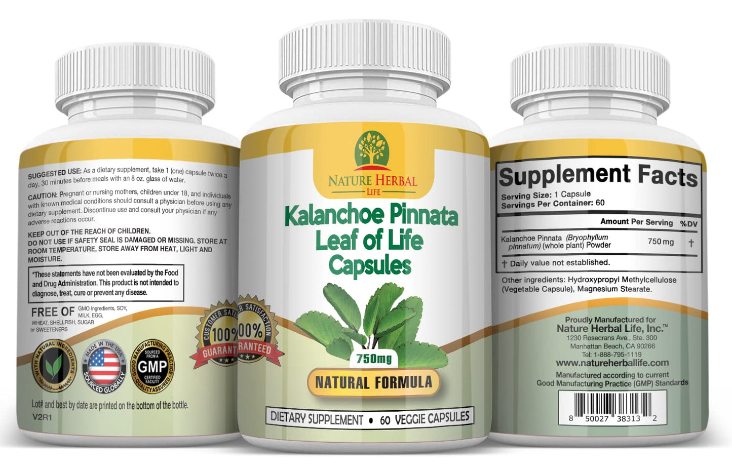 Nature Herbal Life Kalanchoe pinnata Leaf of Life Cathedral Bells 750 mg Vegetarian Capsules, 180 Count