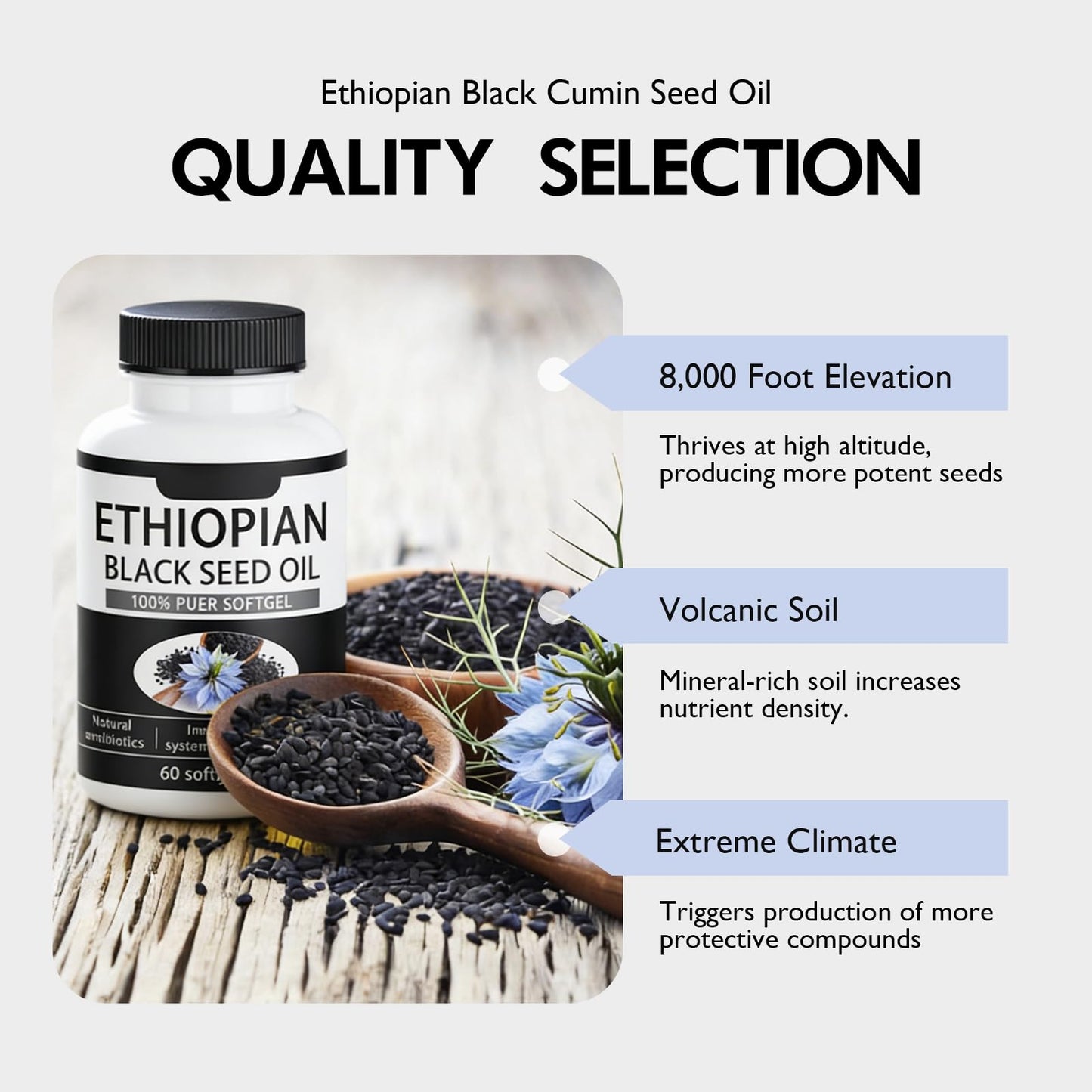 elesysy Ethiopian Black Seed Oil Softgels, 60